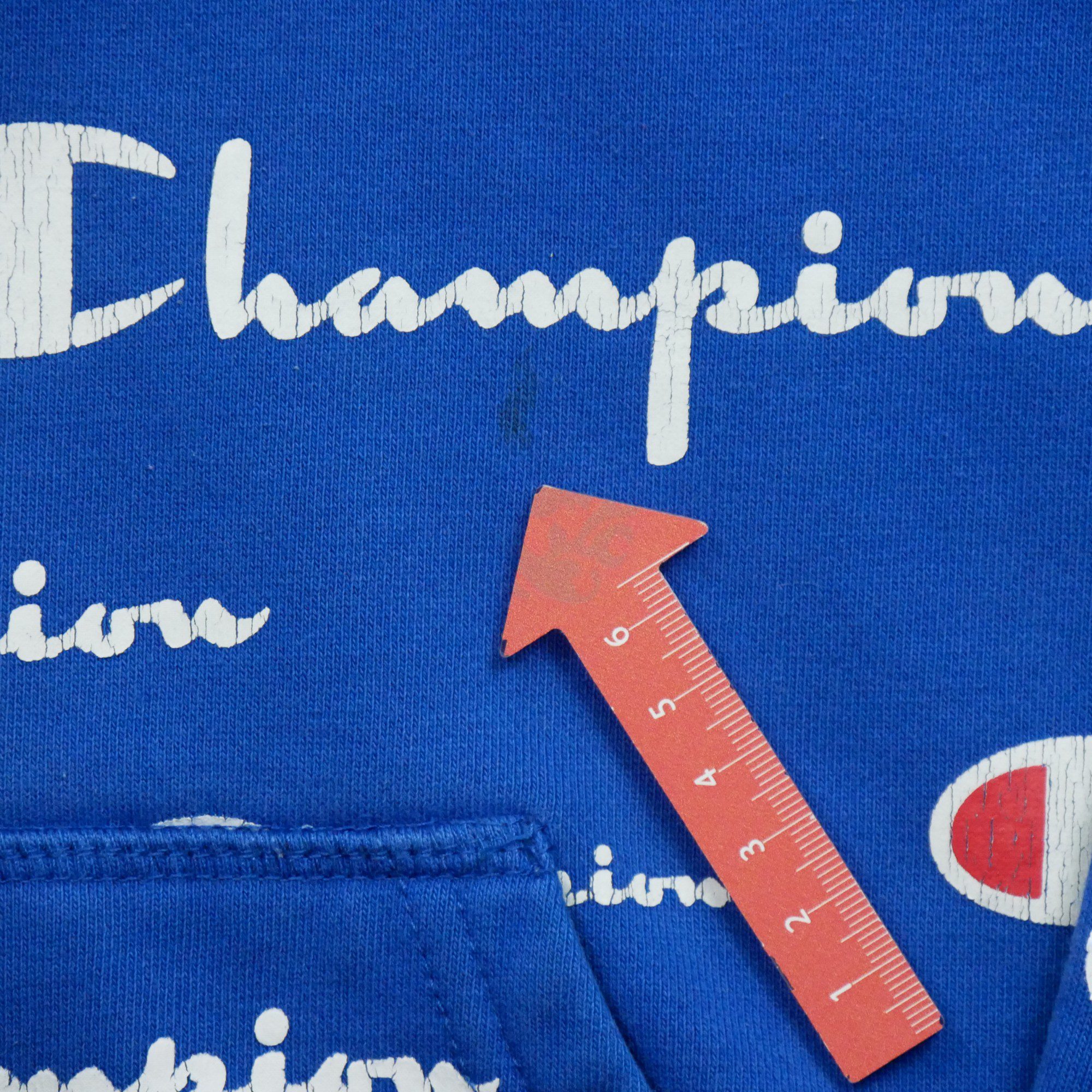 Sweat à capuche Champion Hoodie 11