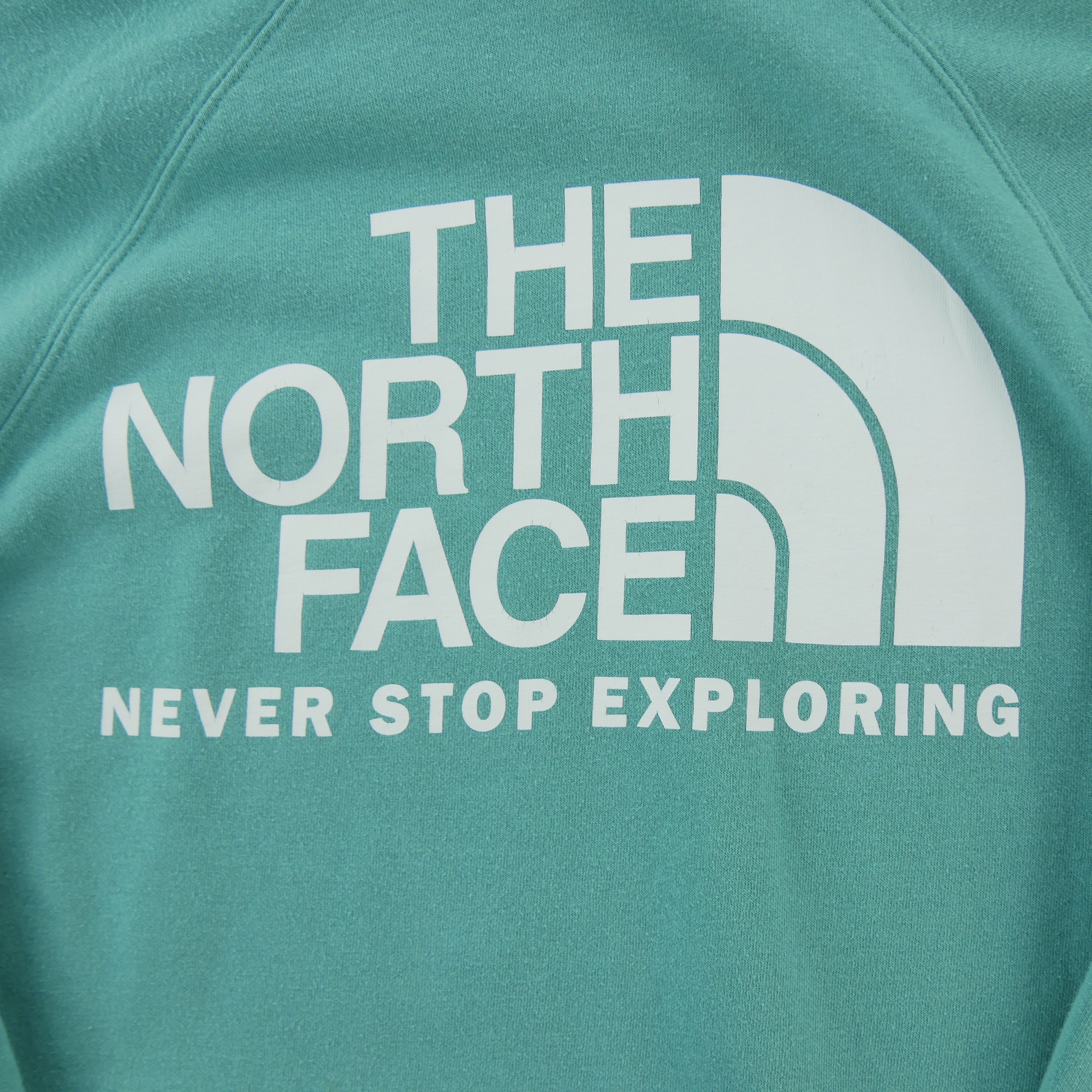 Sweat à capuche Femme  TNF Vert 4