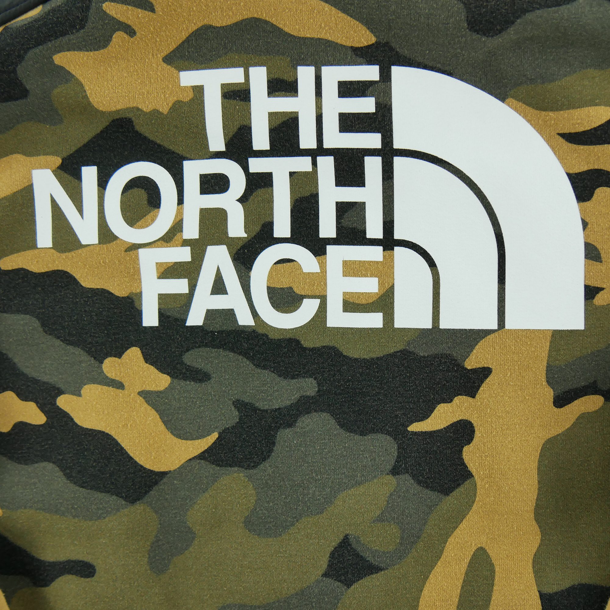 Sweat à capuche Homme  TNF 6