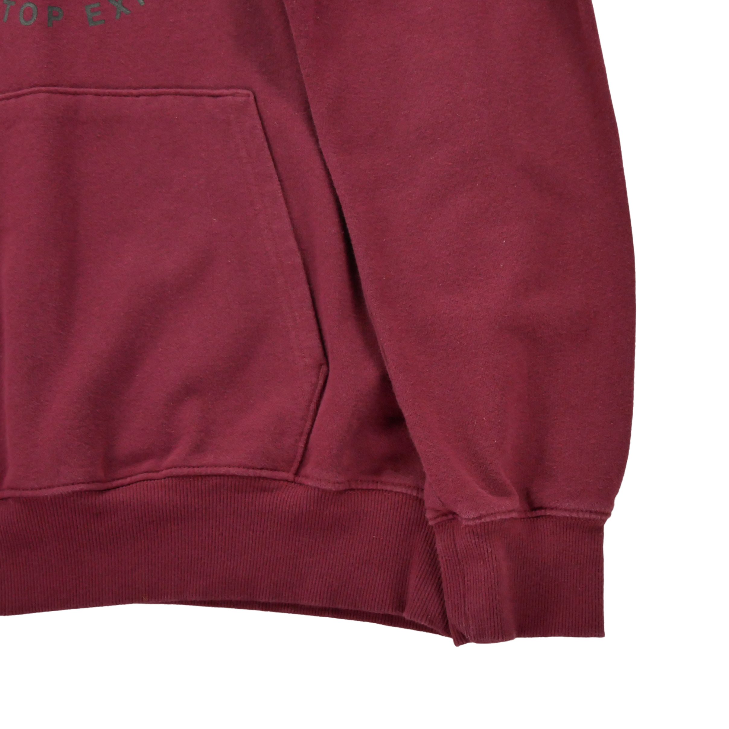 Sweat à capuche Homme  TNF Bordeaux 4