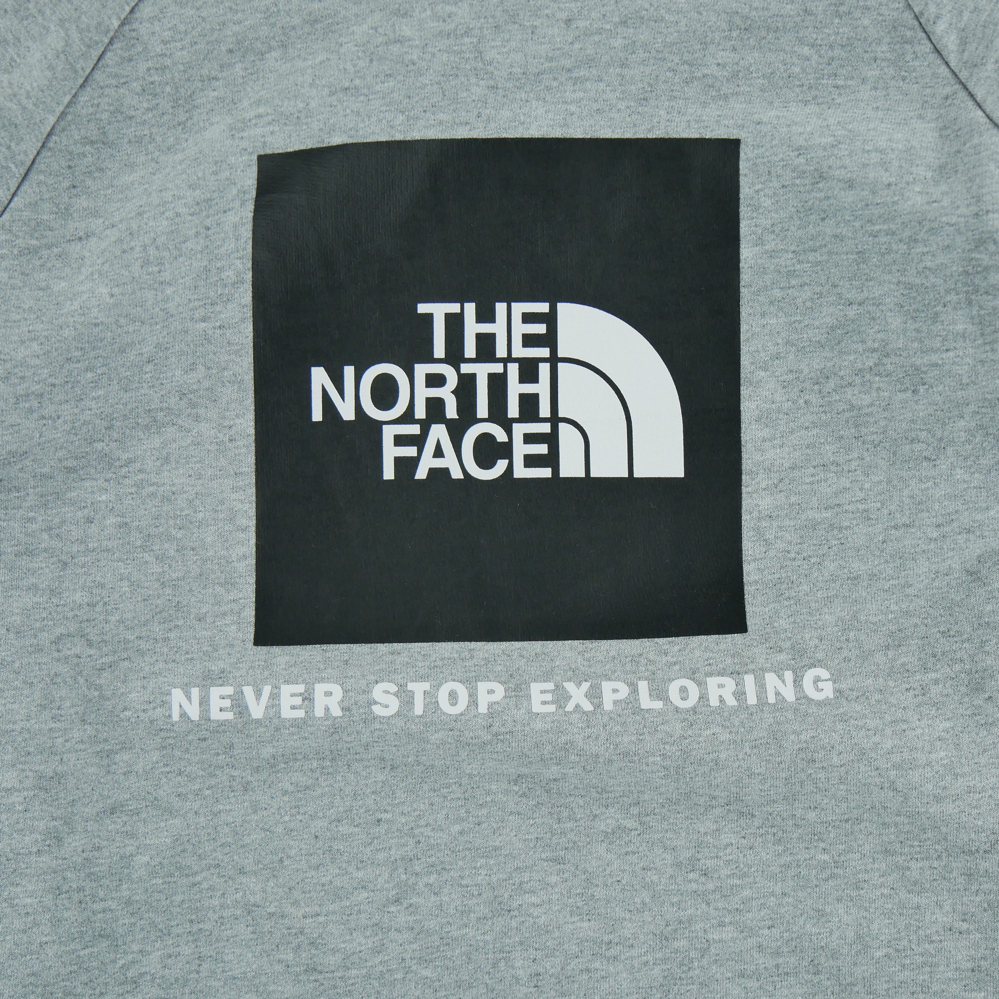 Sweat Homme  TNF Gris 4