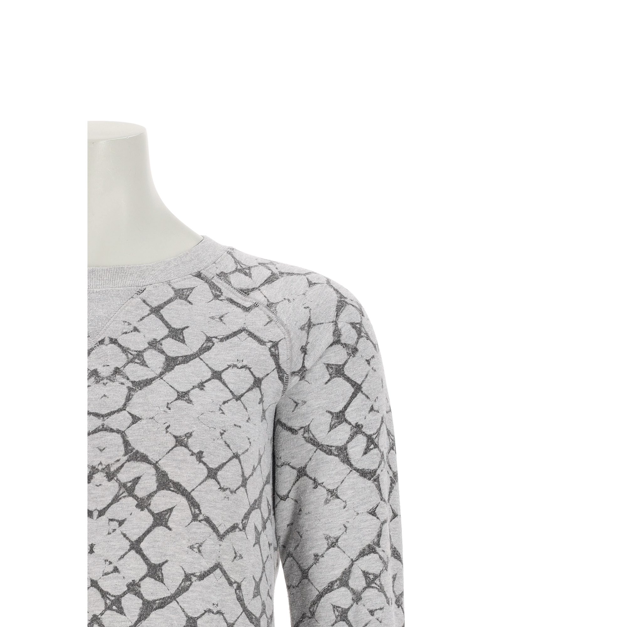 Sweat Femme  TNF Gris 6