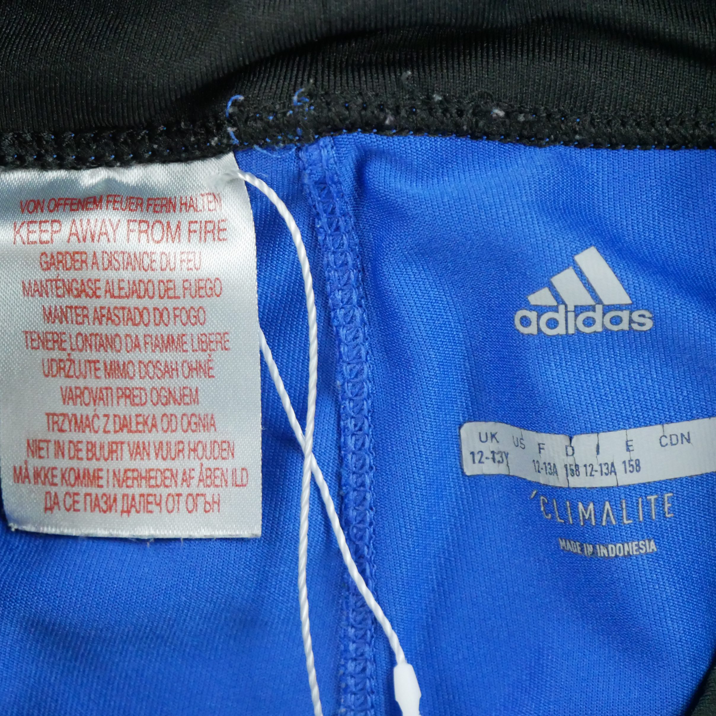 Leggings Femme  Bleu 6