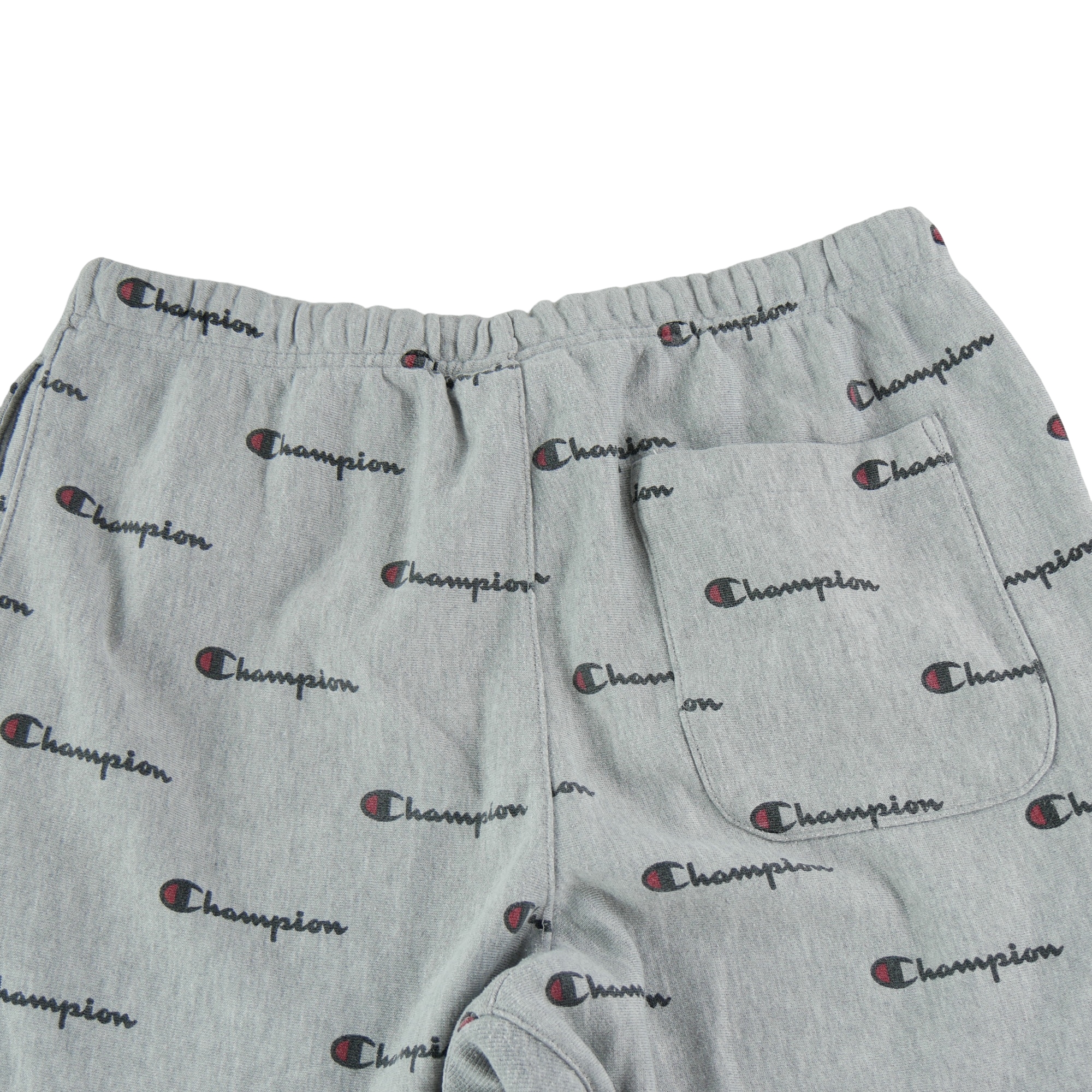 Jogging Homme  Gris 4