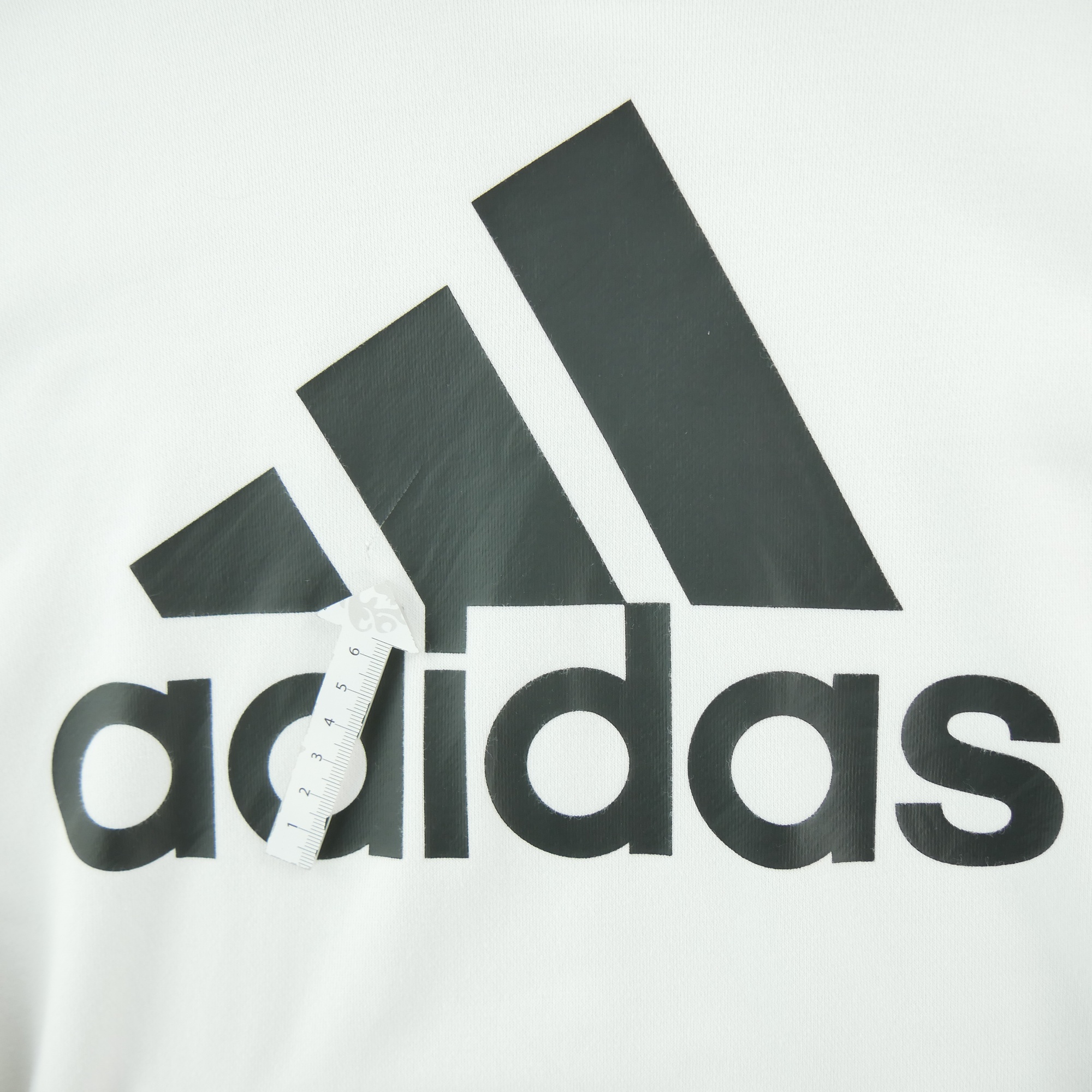 Sweat à capuche Homme  Blanc 4