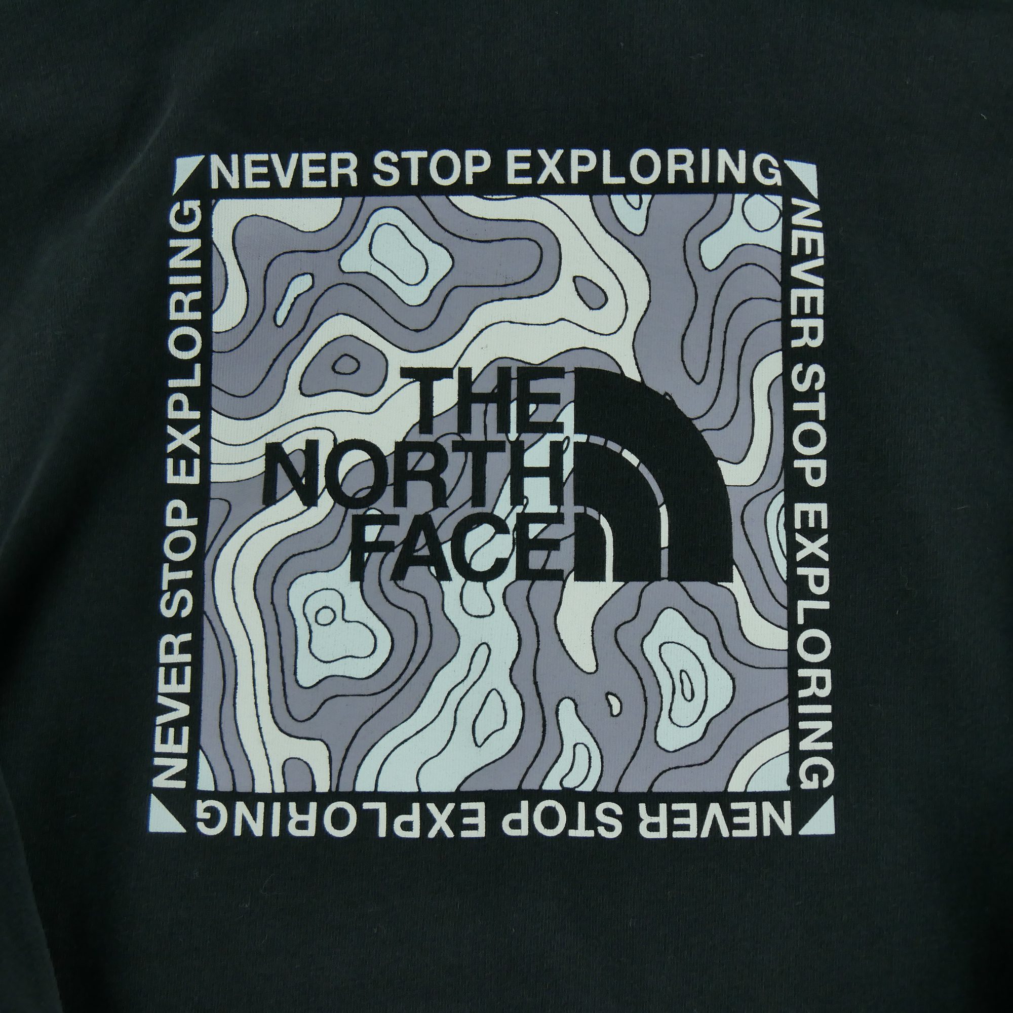 Sweat à capuche Homme  TNF Noir 4