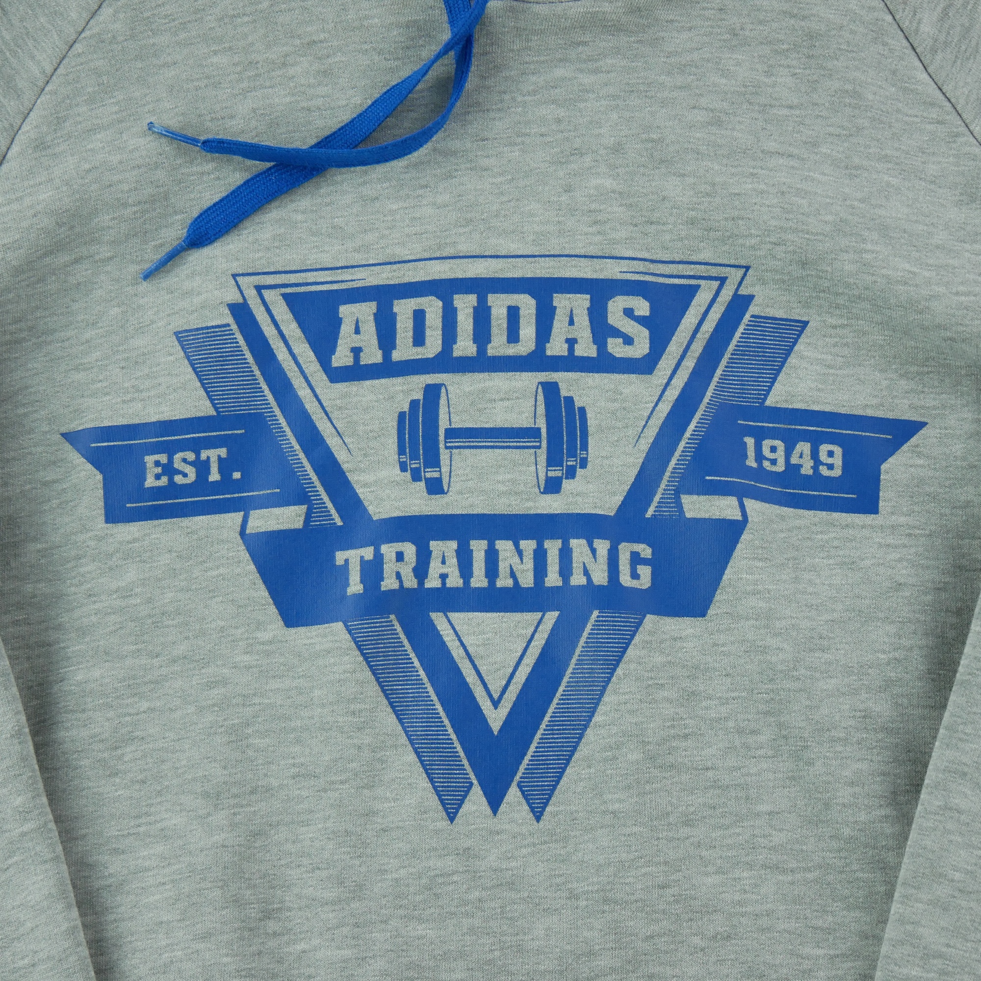 Sweat à capuche Homme  Gris 3