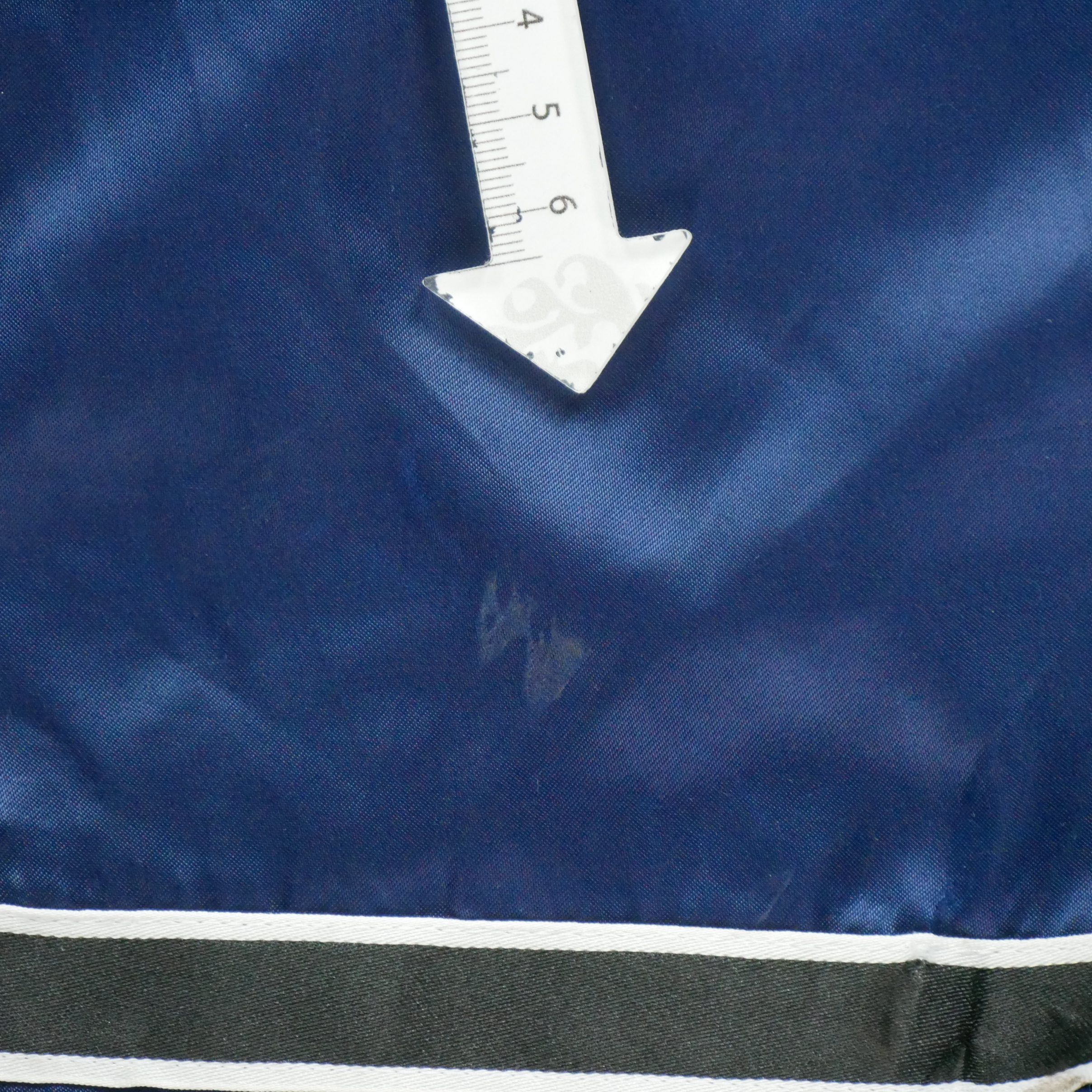 Short Homme  Marine 5