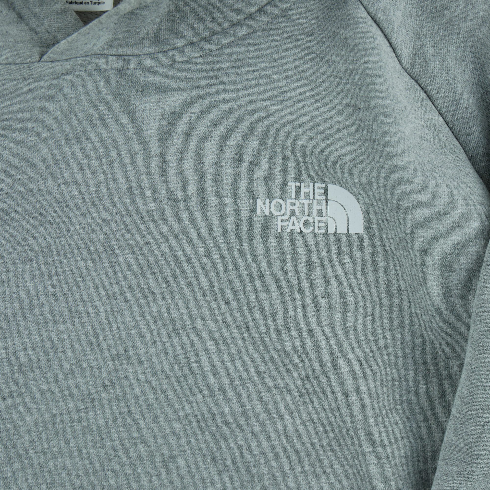Sweat à capuche Homme  TNF Gris 3