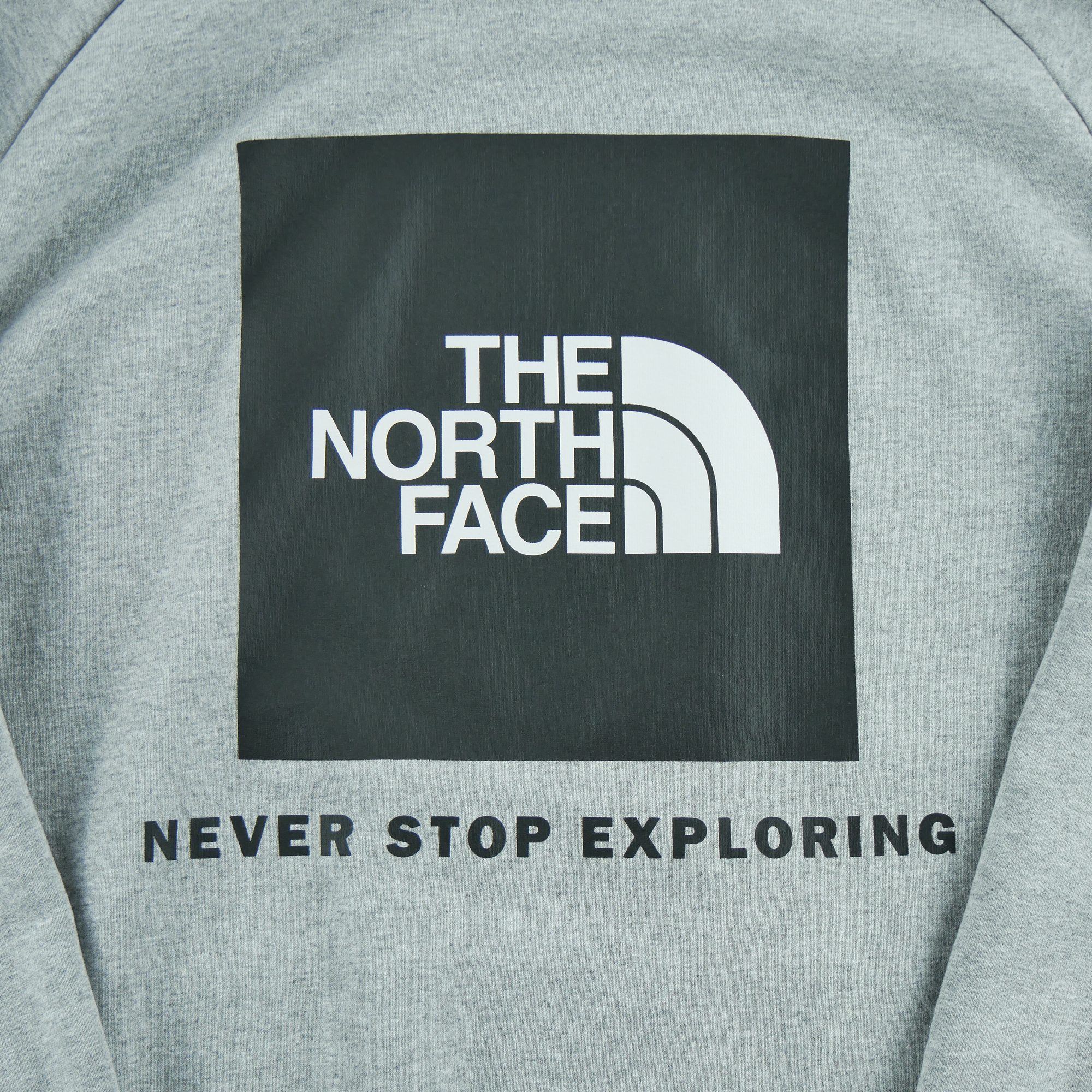 Sweat à capuche Homme  TNF Gris 4
