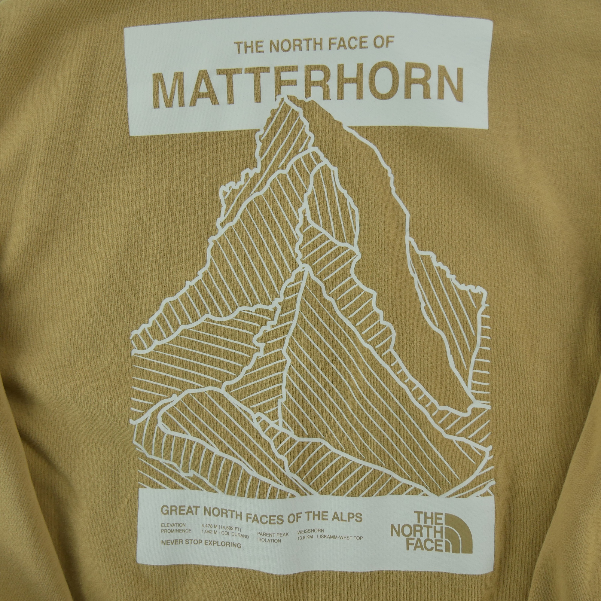 Sweat à capuche Homme  TNF Beige 5