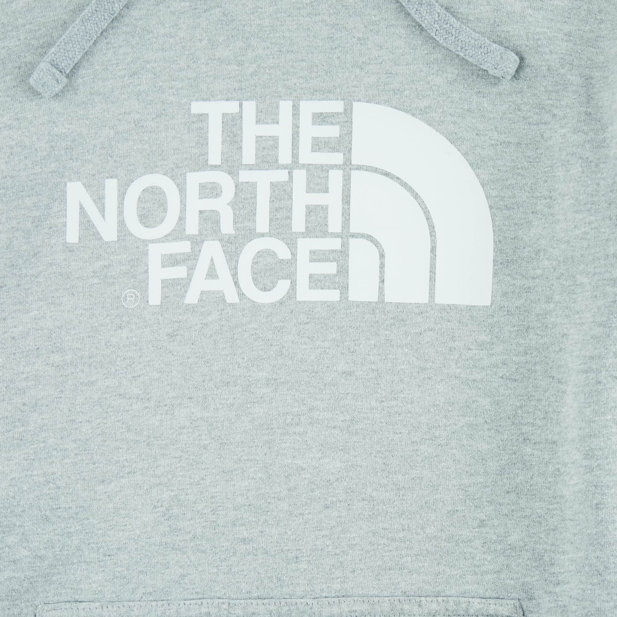 Sweat à capuche Homme  TNF Gris 3