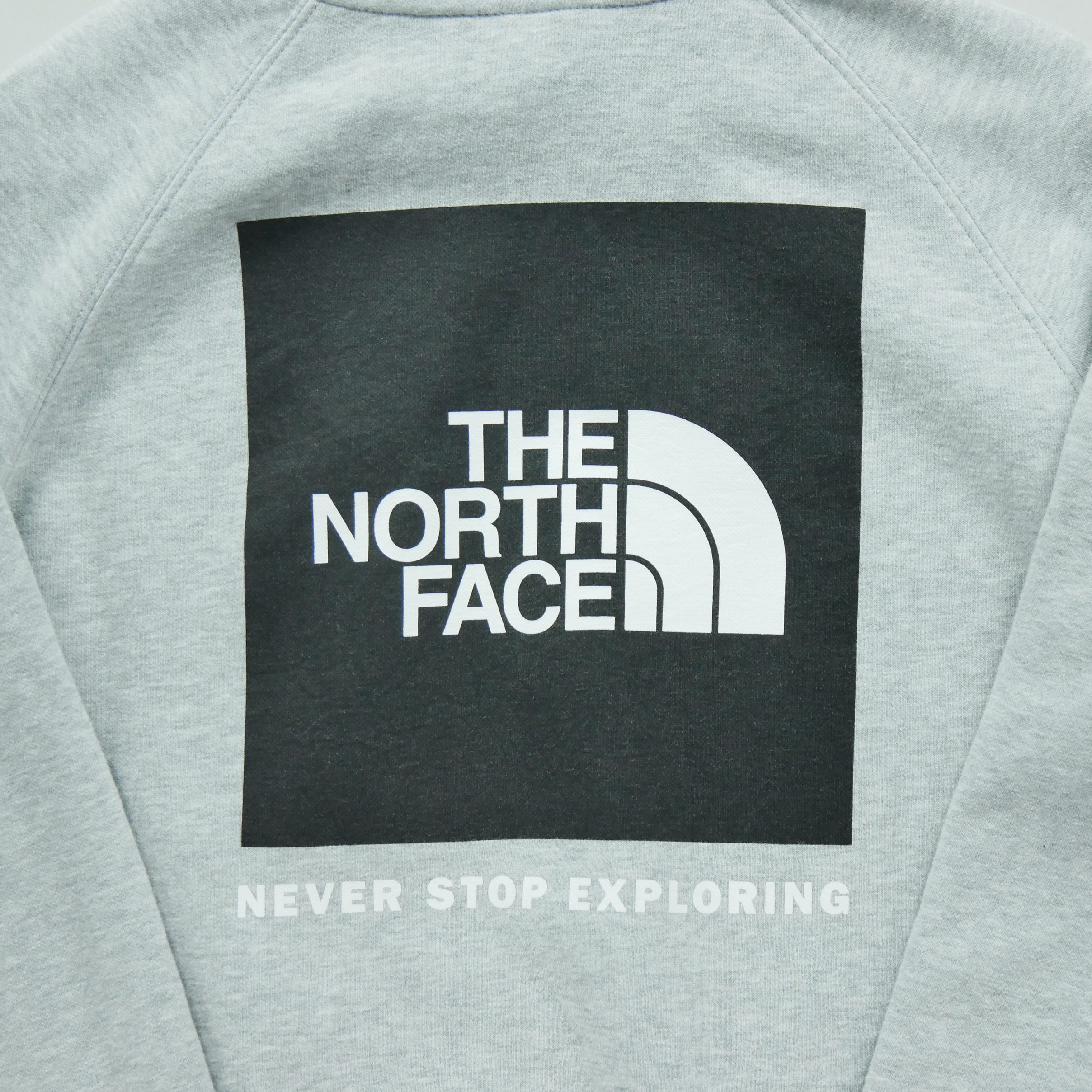 Sweat à capuche Femme  TNF Gris 4