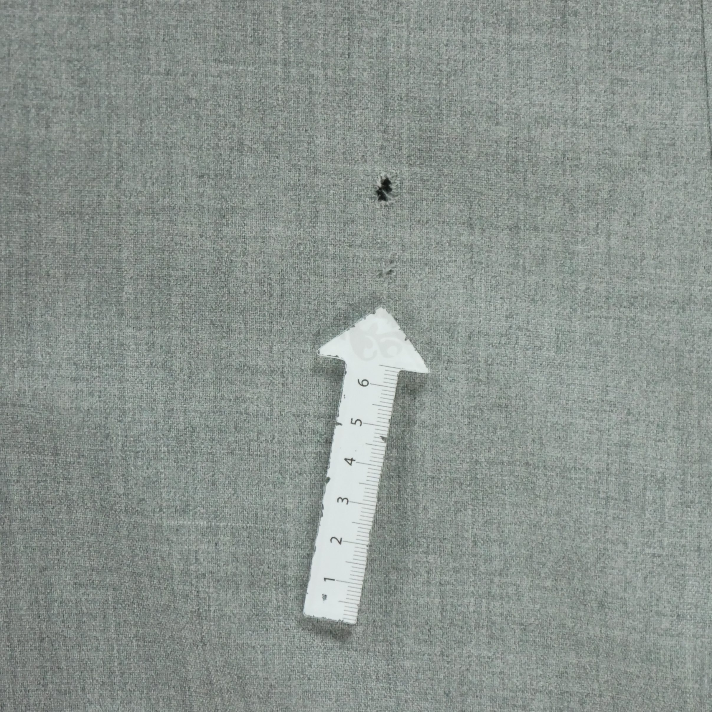 Veste Homme  Gris 12