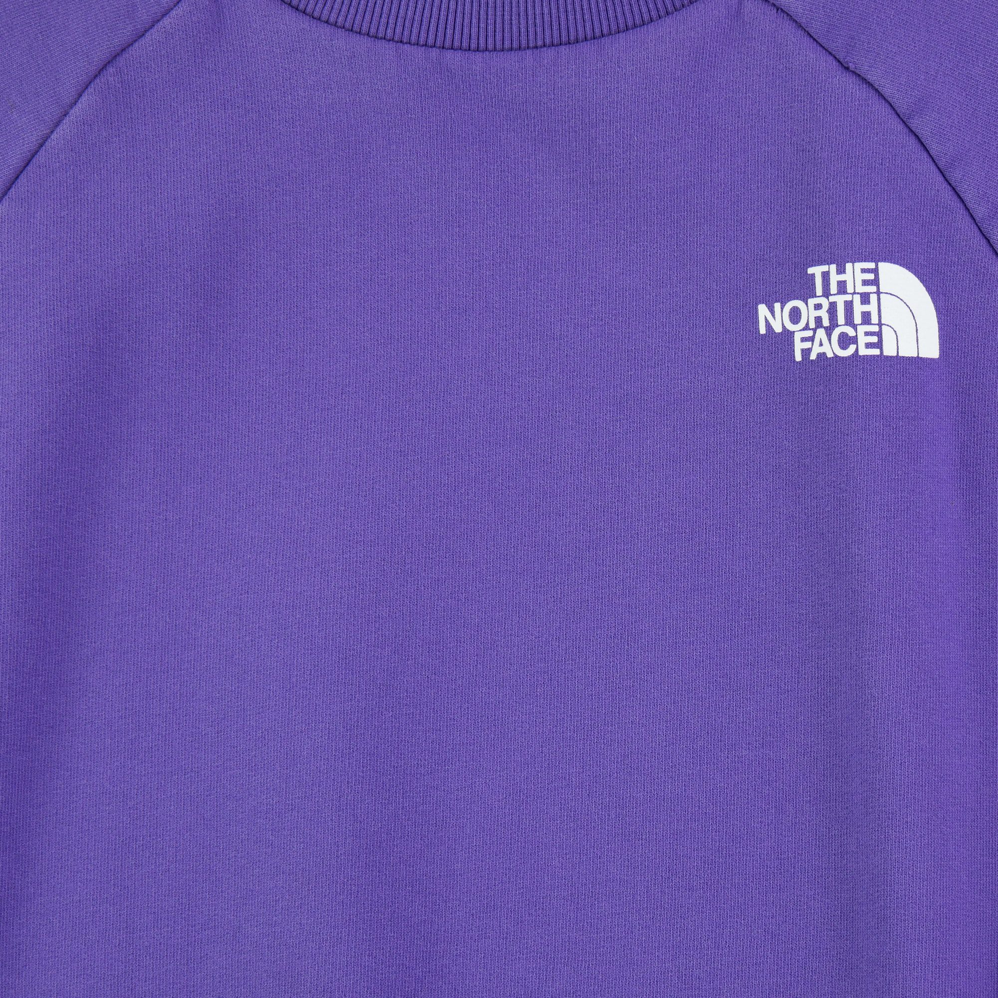 Sweat Homme  TNF Violet 3