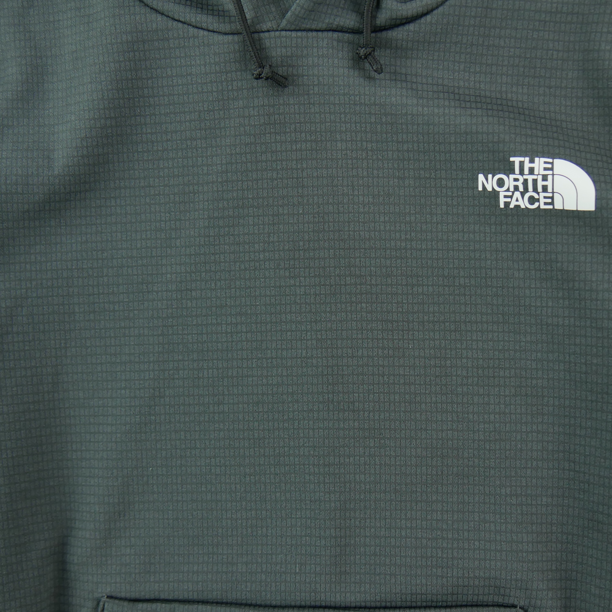 Sweat à capuche Homme  TNF Gris 3