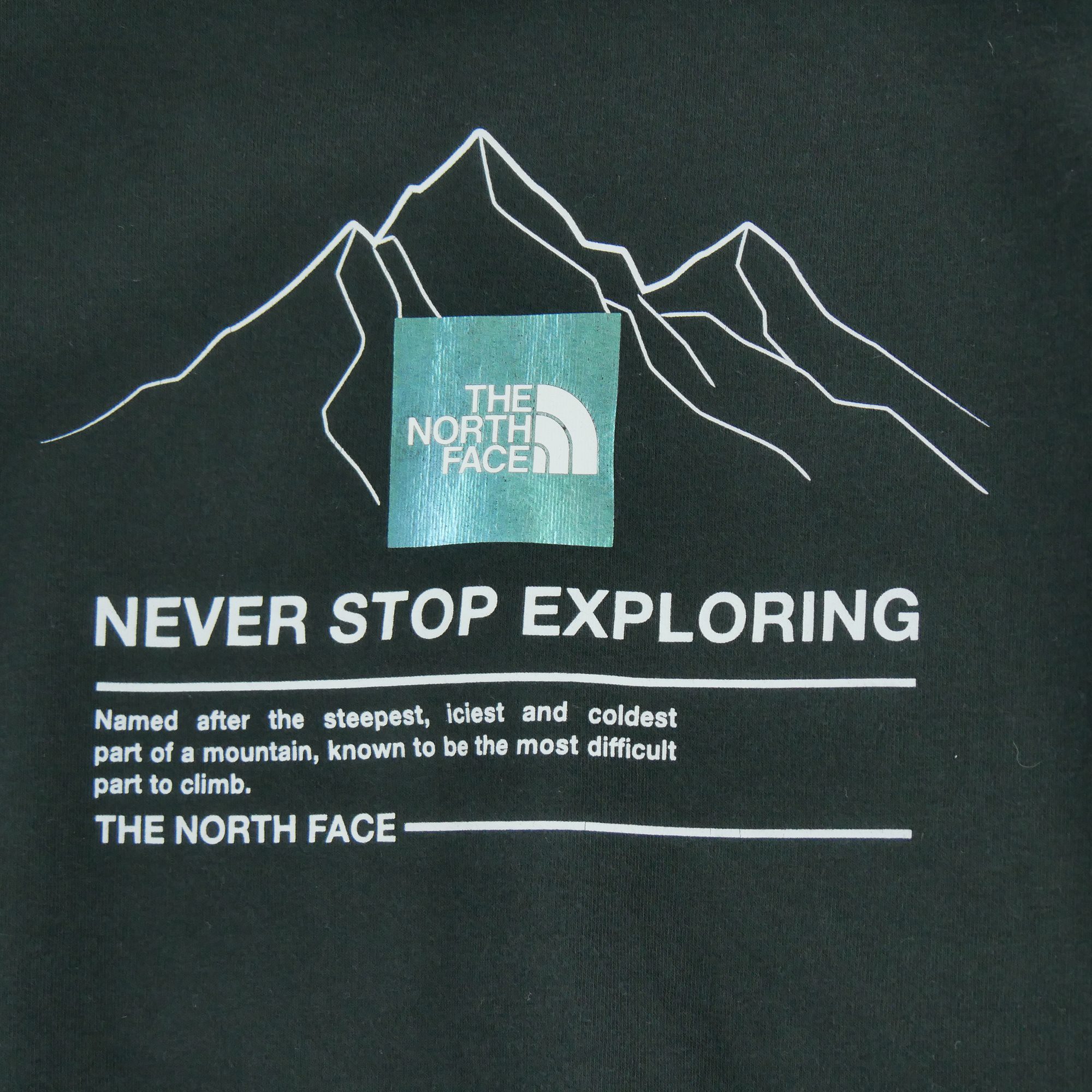 Sweat Femme  TNF Noir 3