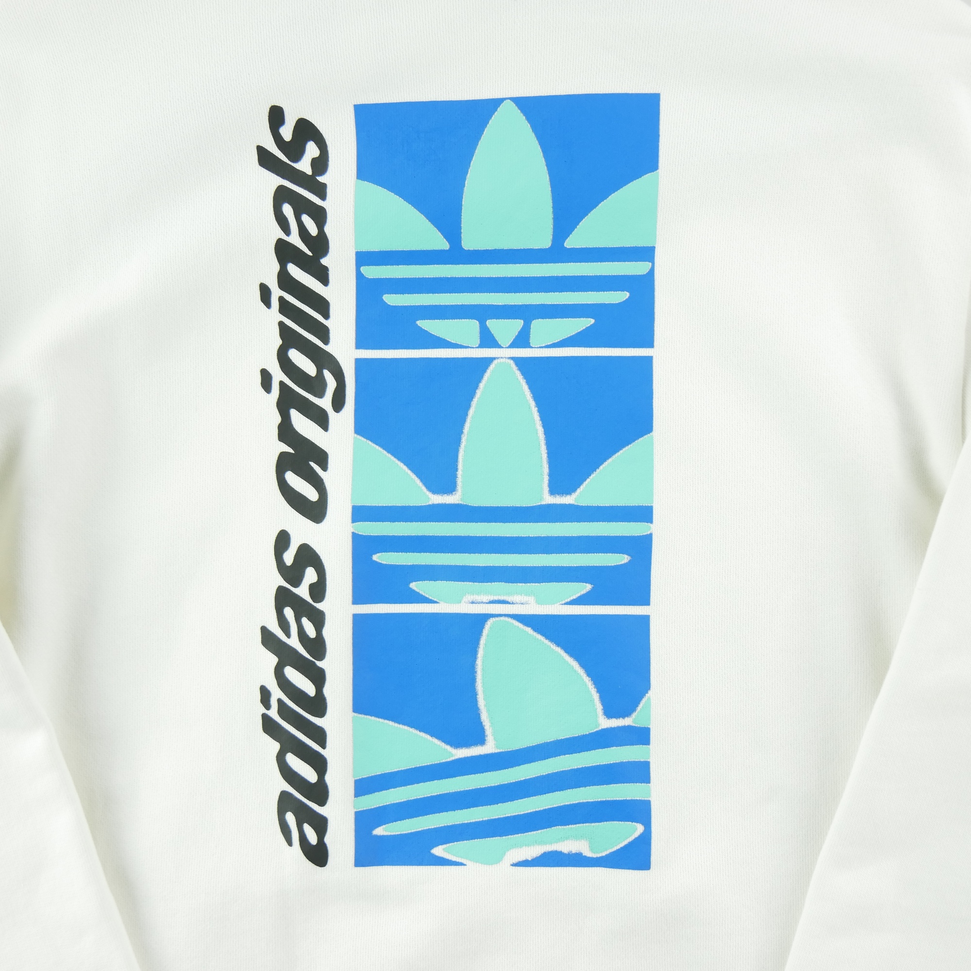 Sweat à capuche Homme  Blanc 4