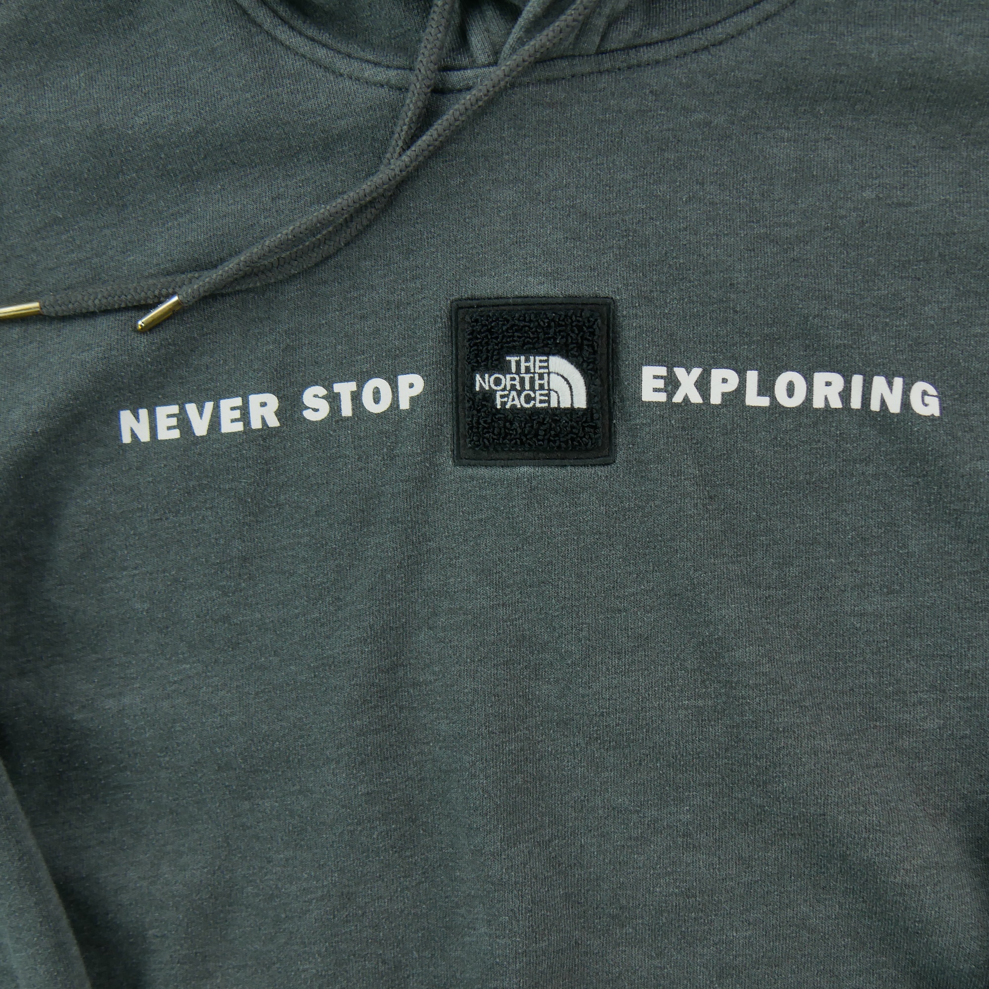 Sweat à capuche Homme  TNF Gris 4