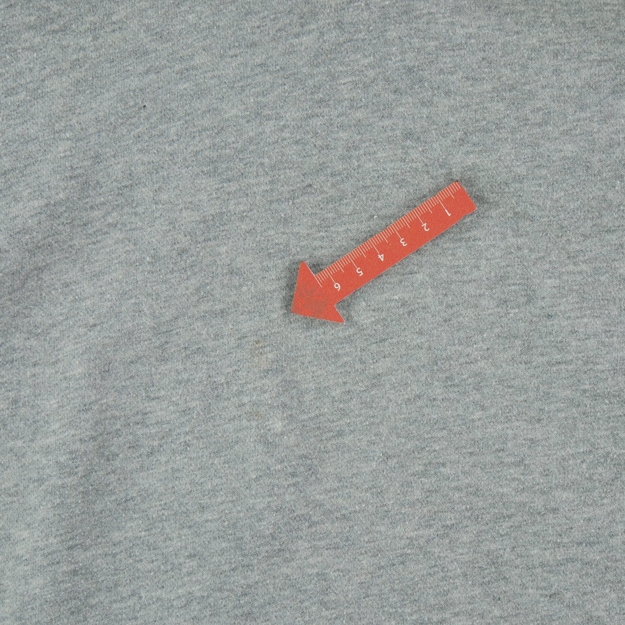 Sweat à capuche Homme  Gris 7