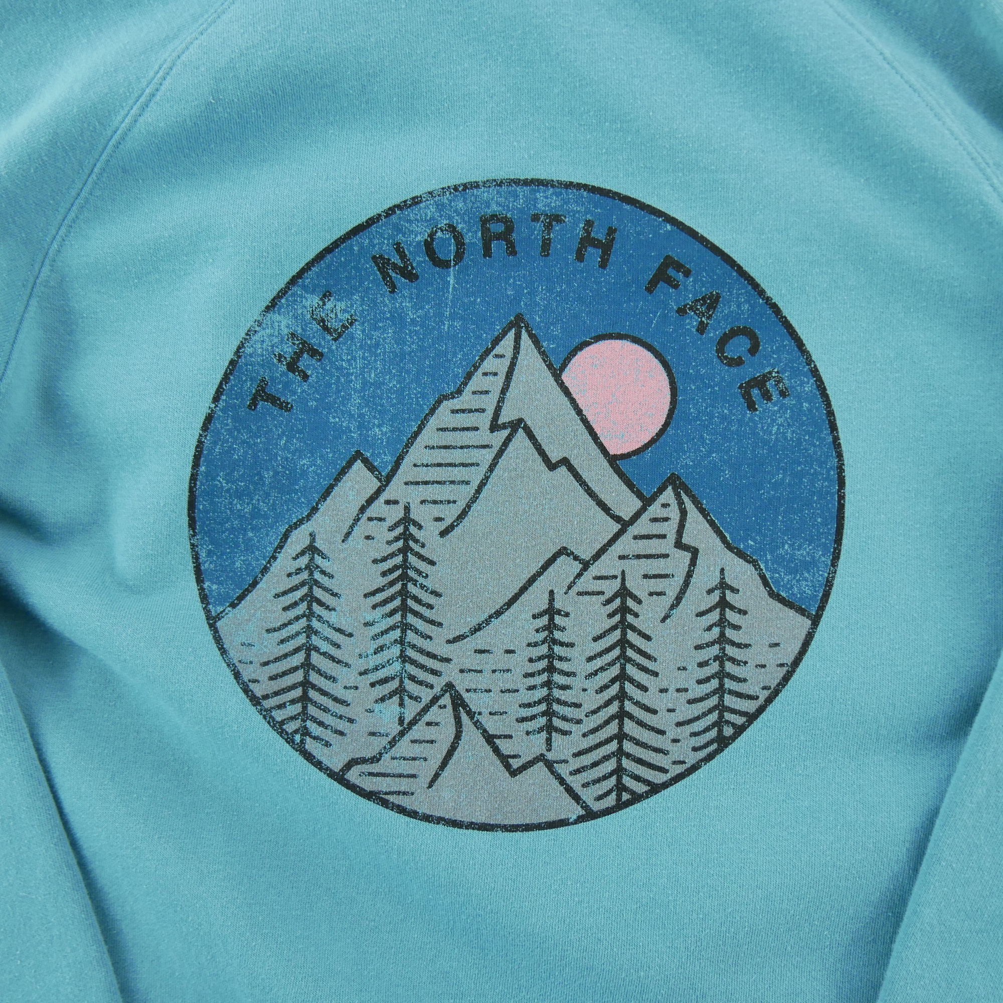 Sweat à capuche Femme  TNF Turquoise 5
