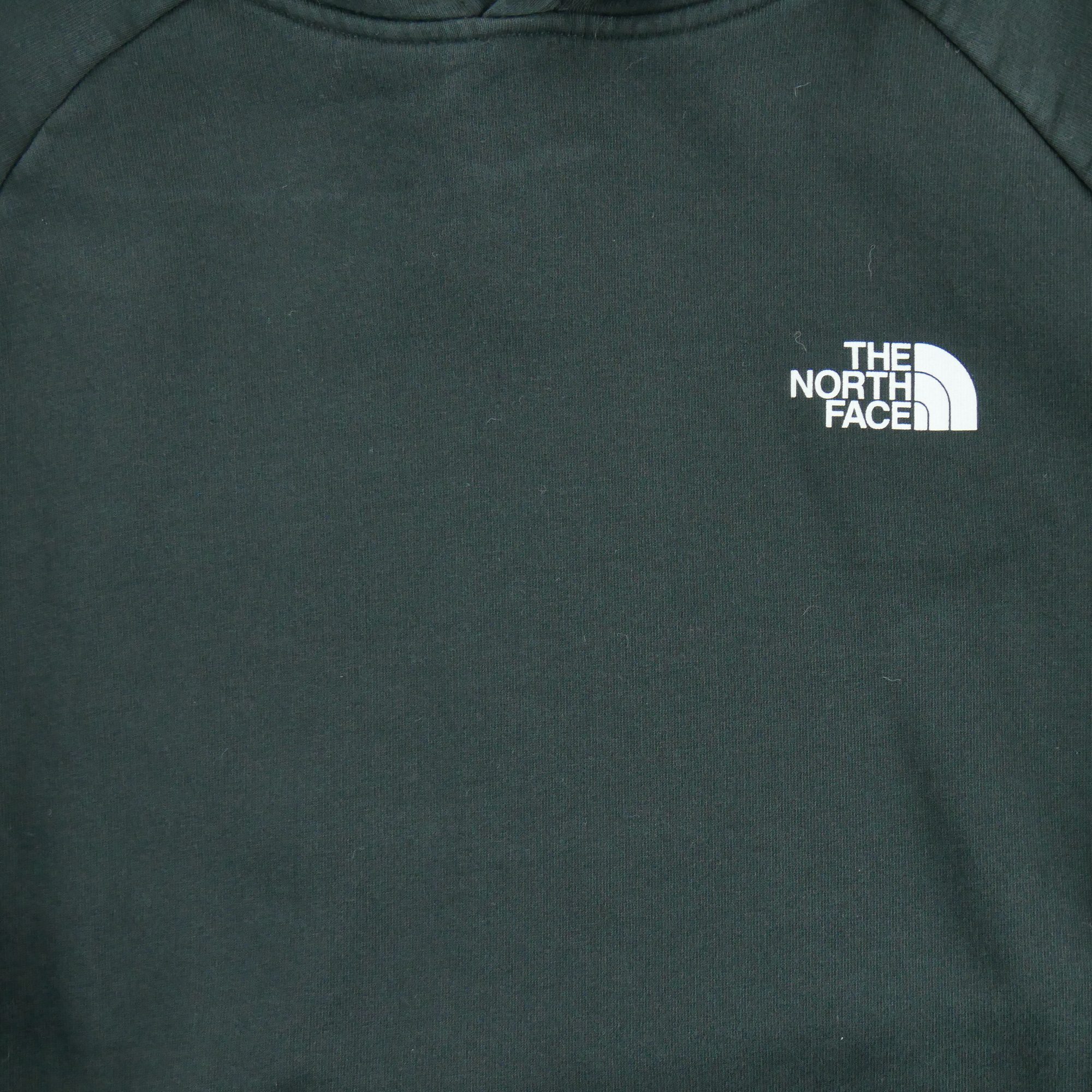 Sweat à capuche Homme  TNF Noir 4