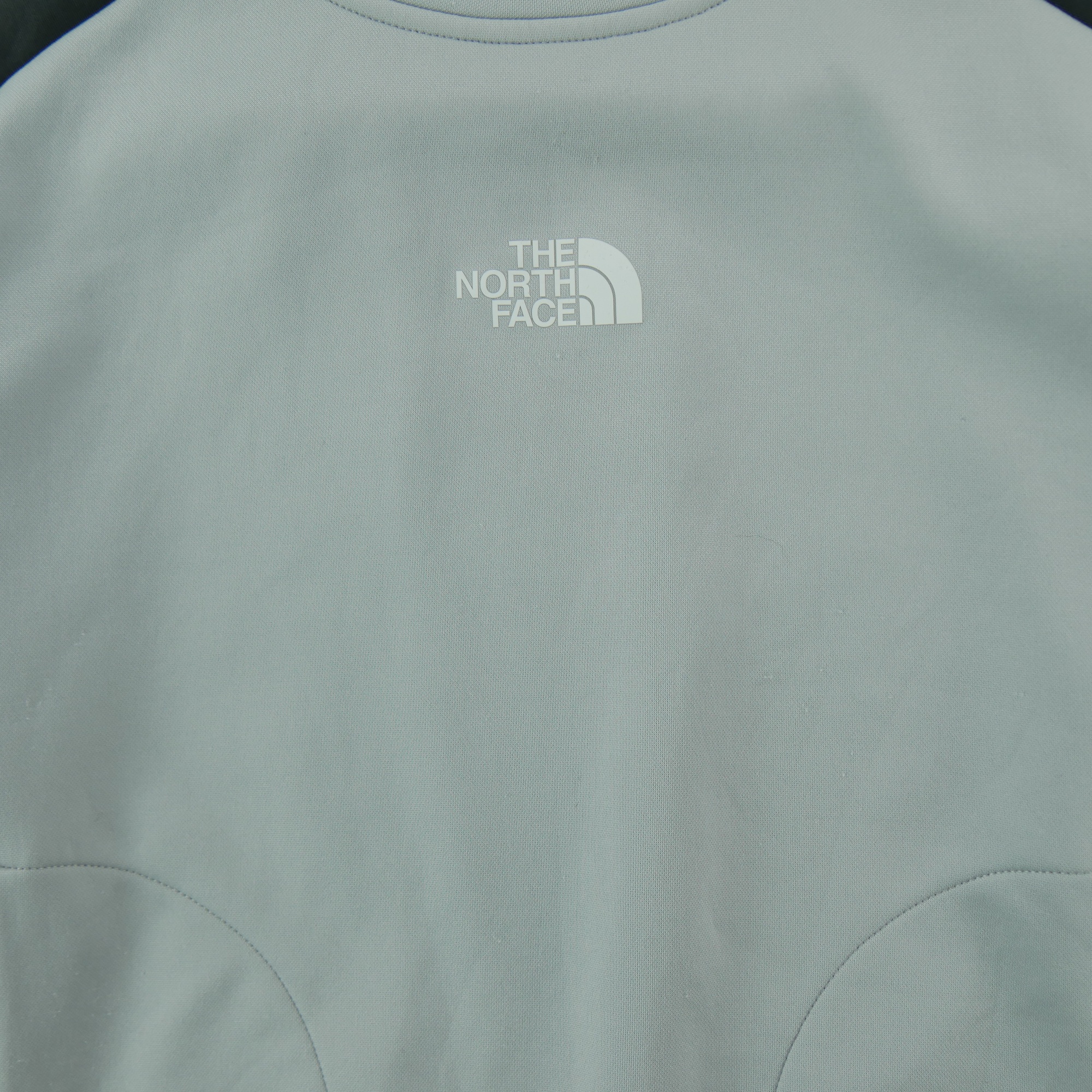 Sweat Femme  TNF Gris 3