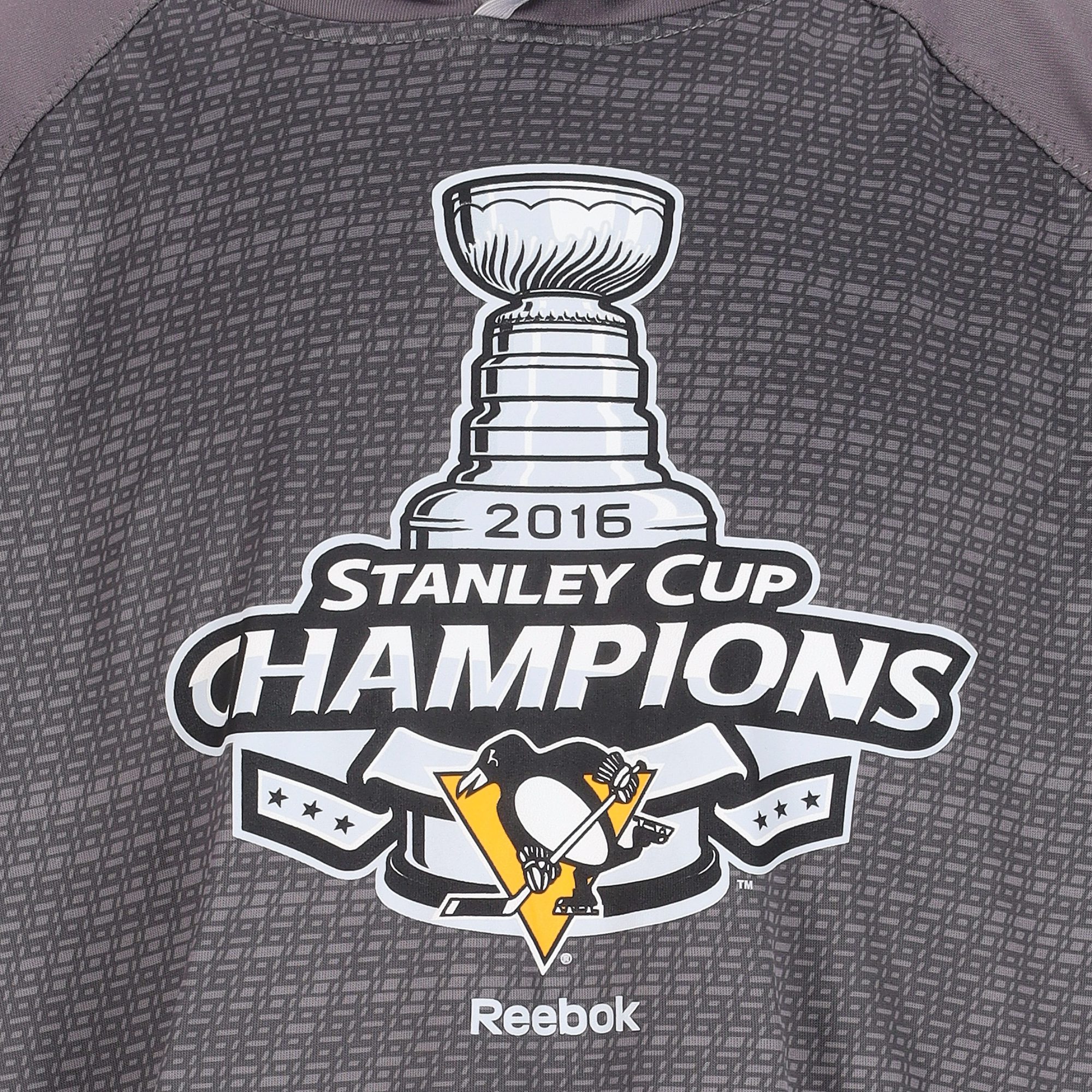 Sweat à capuche Homme NHL Gris 6
