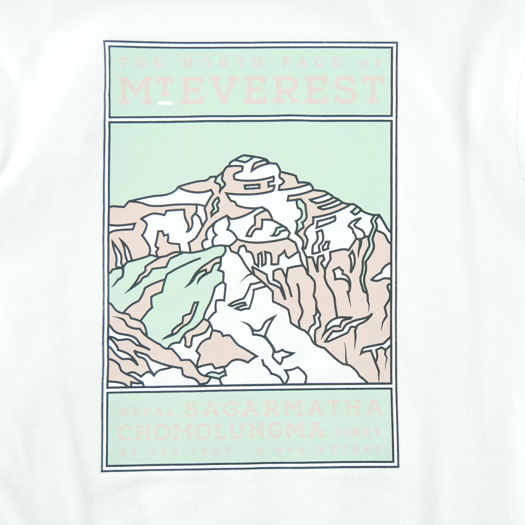 Pull Homme  TNF Mount Everest Blanc 4
