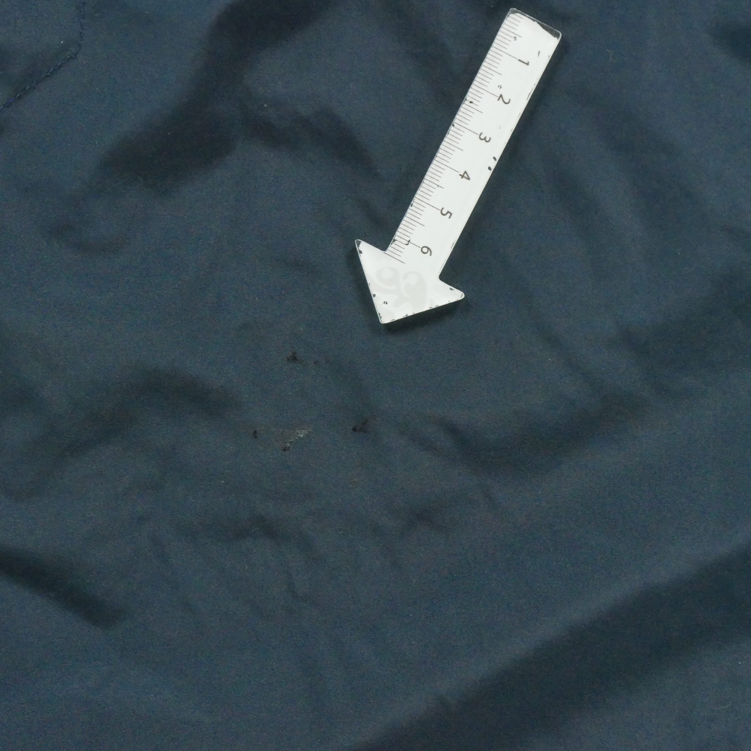 Short Homme  Marine 7