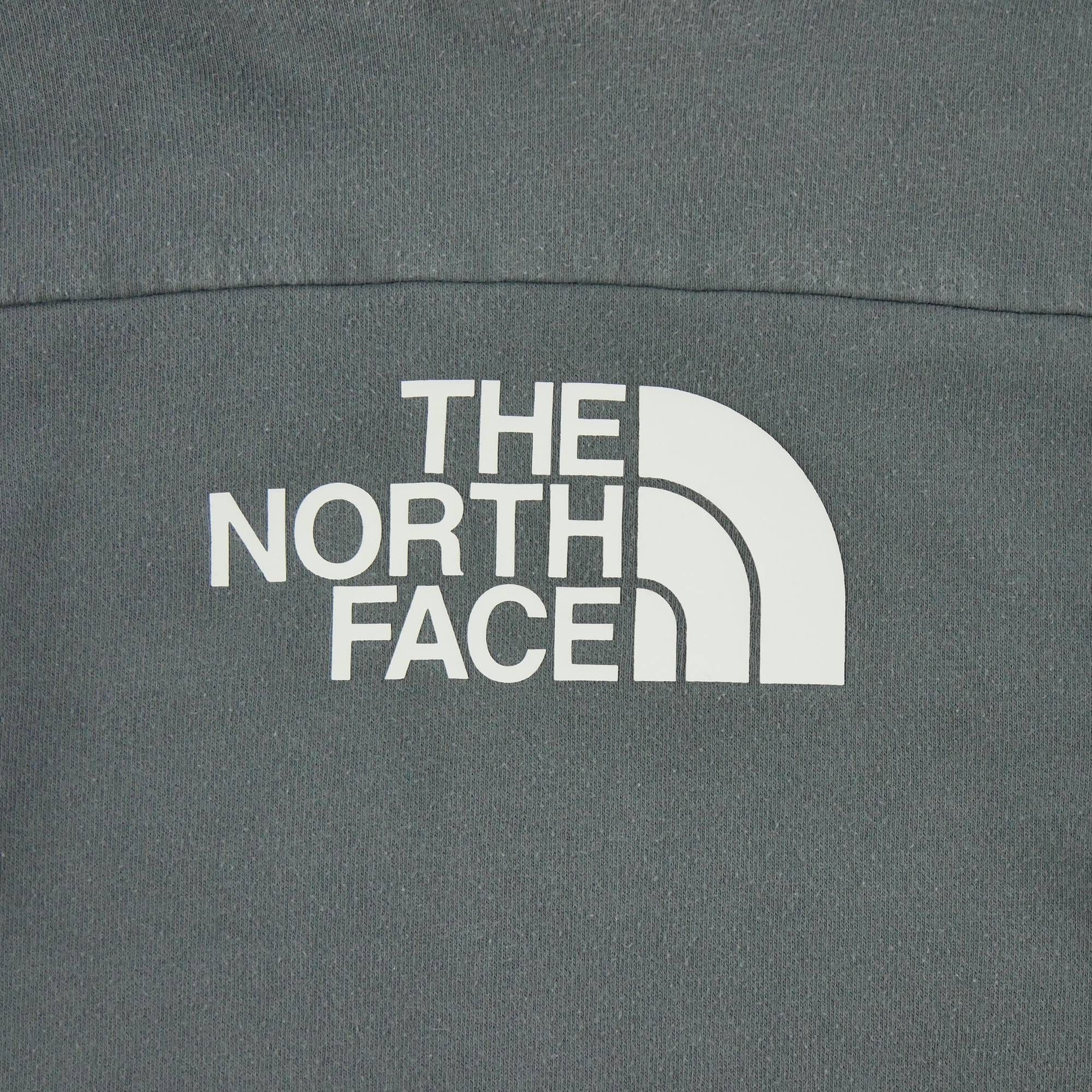 Sweat à capuche Femme  TNF Gris 3