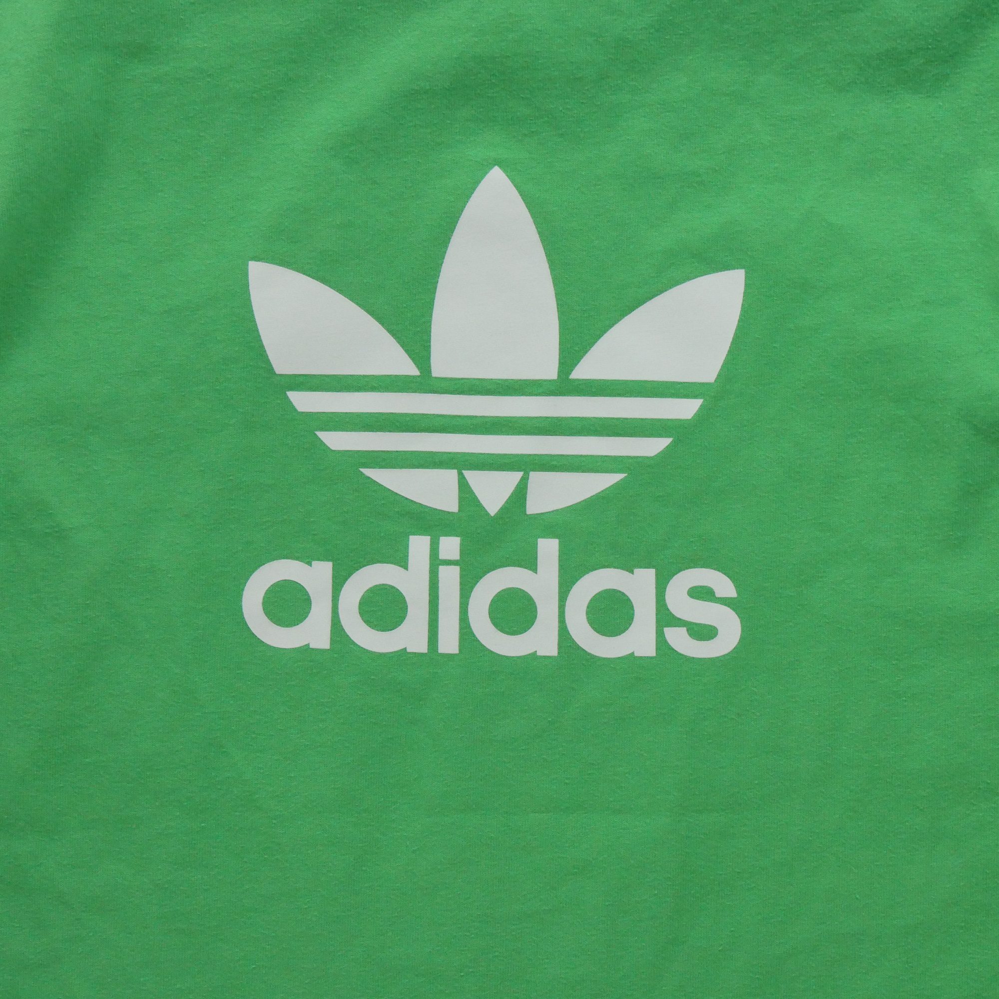 T-shirt manches courtes Homme  Vert 3