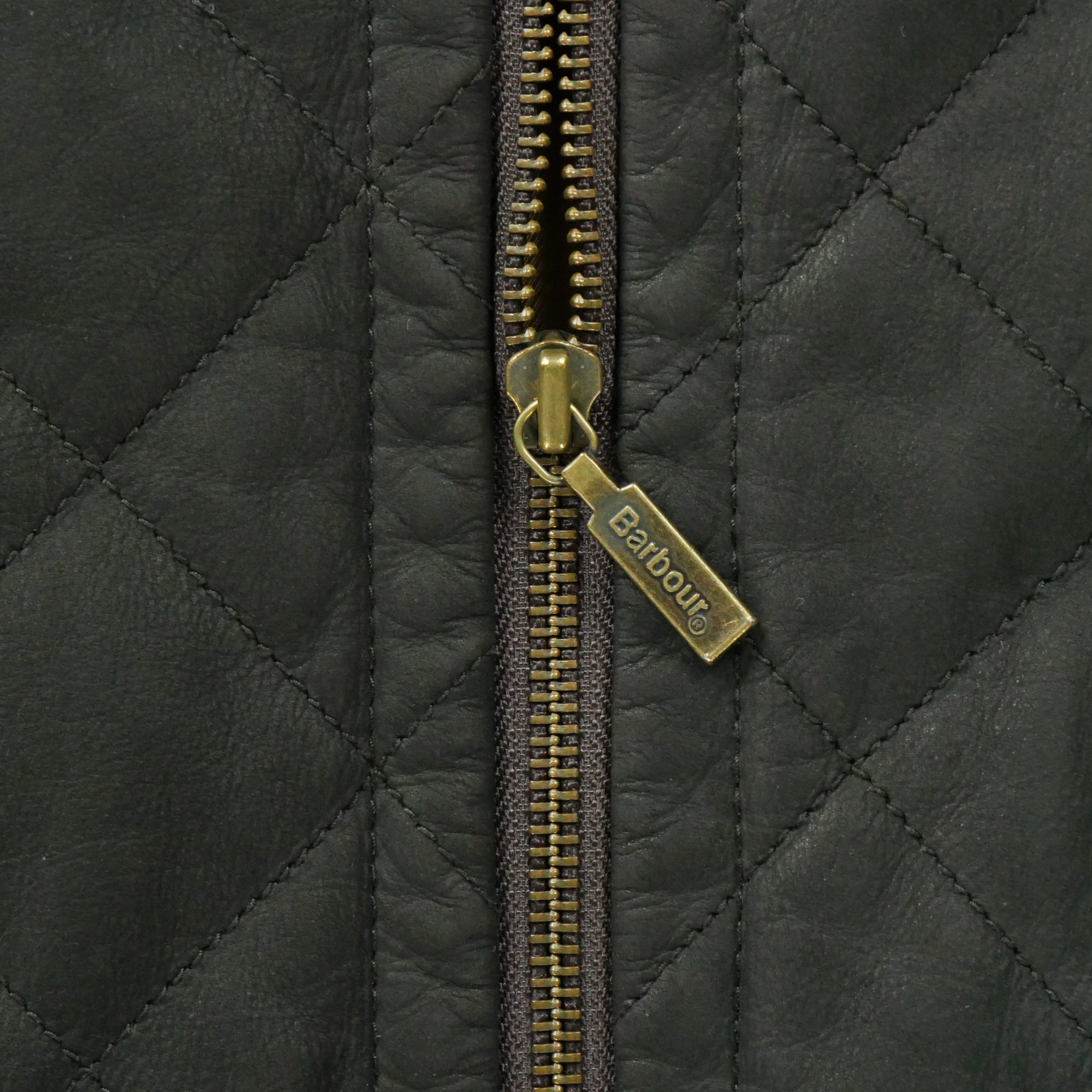 Blouson Femme  Polarquilt Marron 6