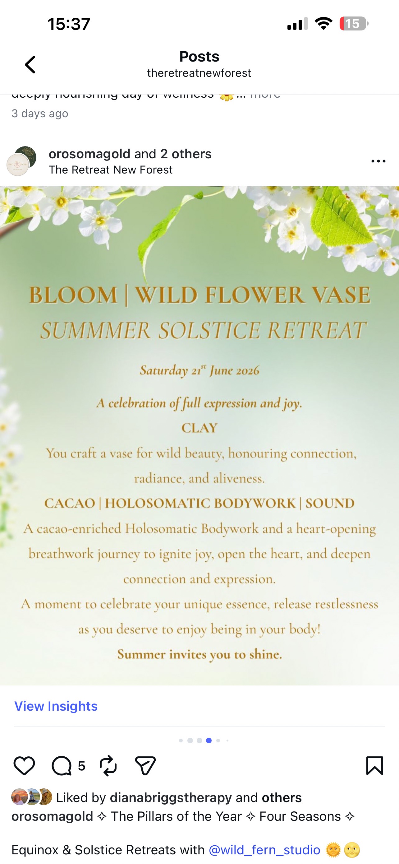 Summer Solstice Retreat