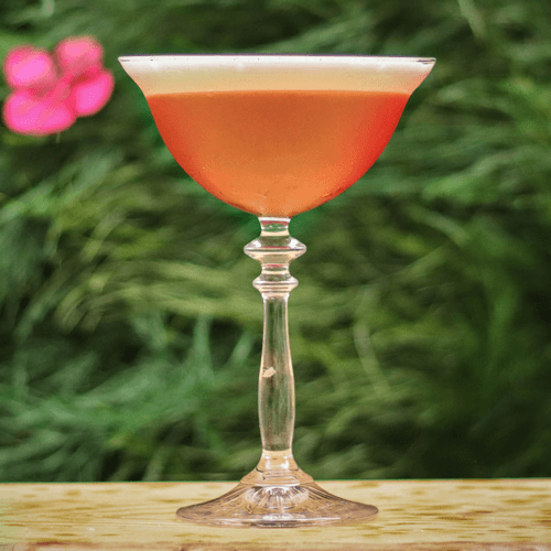 drink image