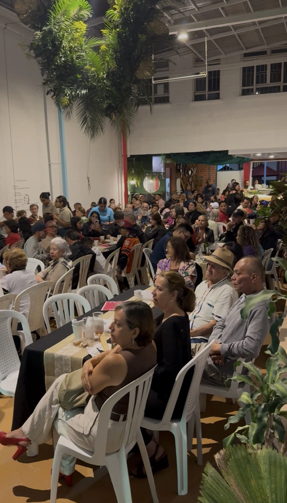 Galería de Inauguración Amarantango 2