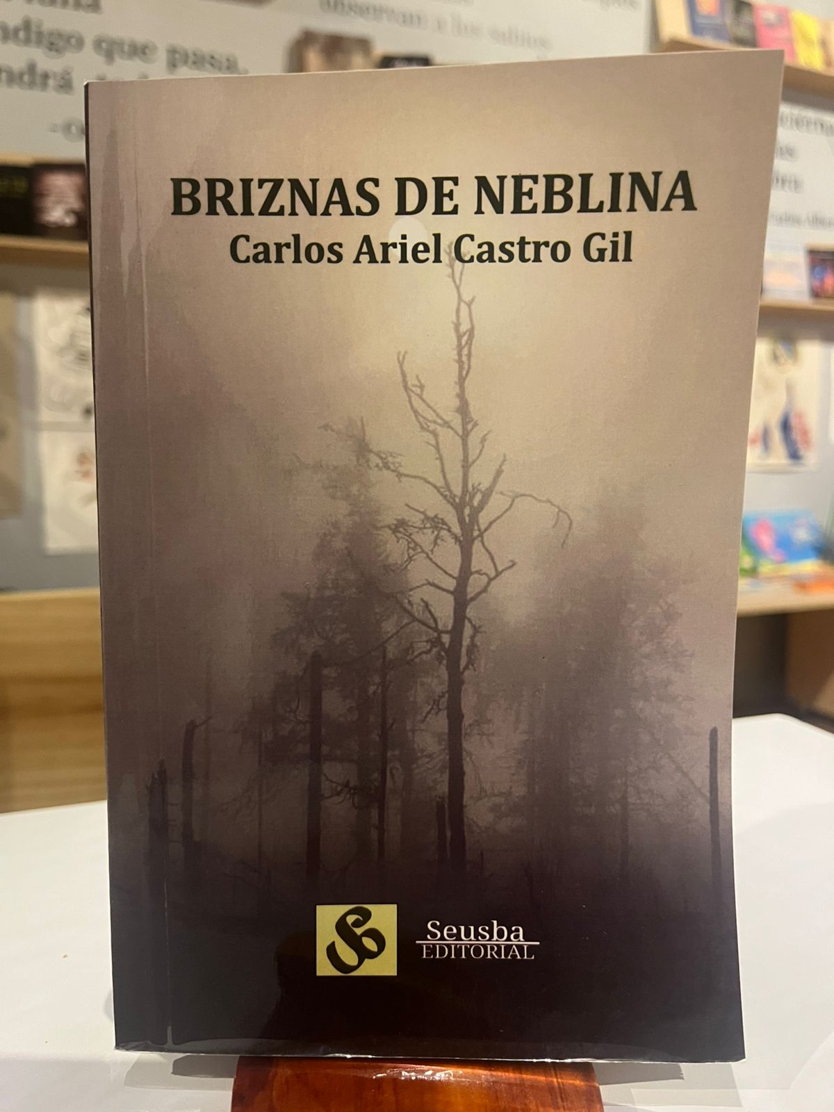 Portada de Briznas de neblina
