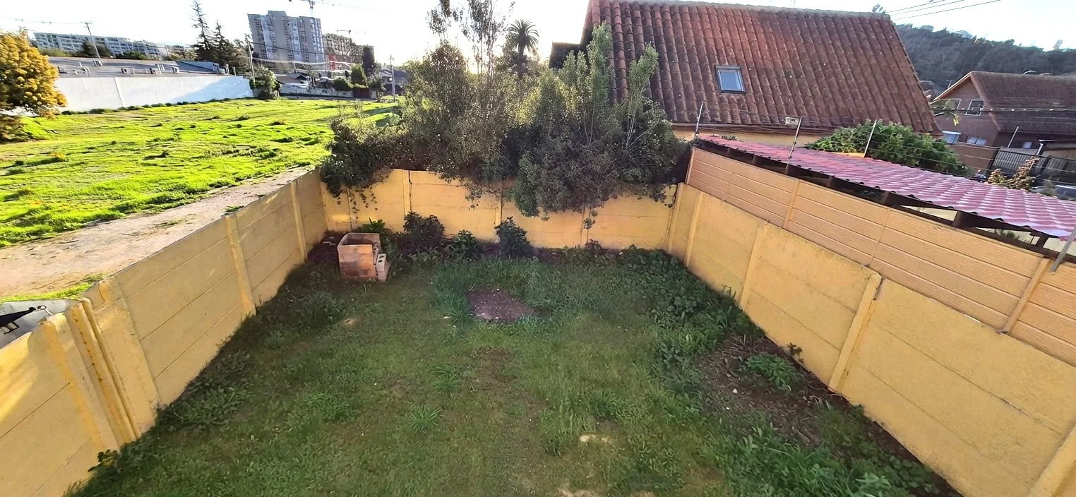 Miniatura 24