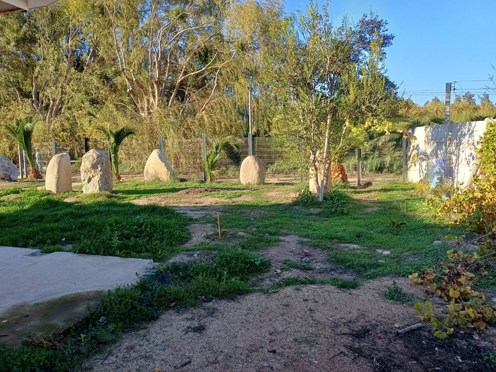 Imagen de Venta de Parcela de 5.000 m2. en El Romeral., sector Purehue. 180 M$.