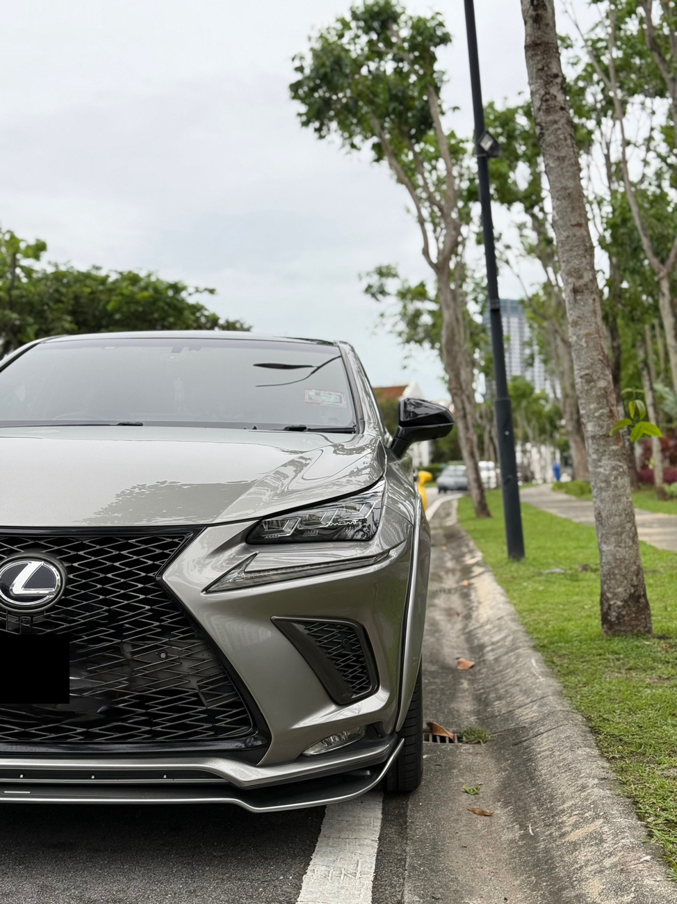 Lexus NX200T F Sport — photo 4