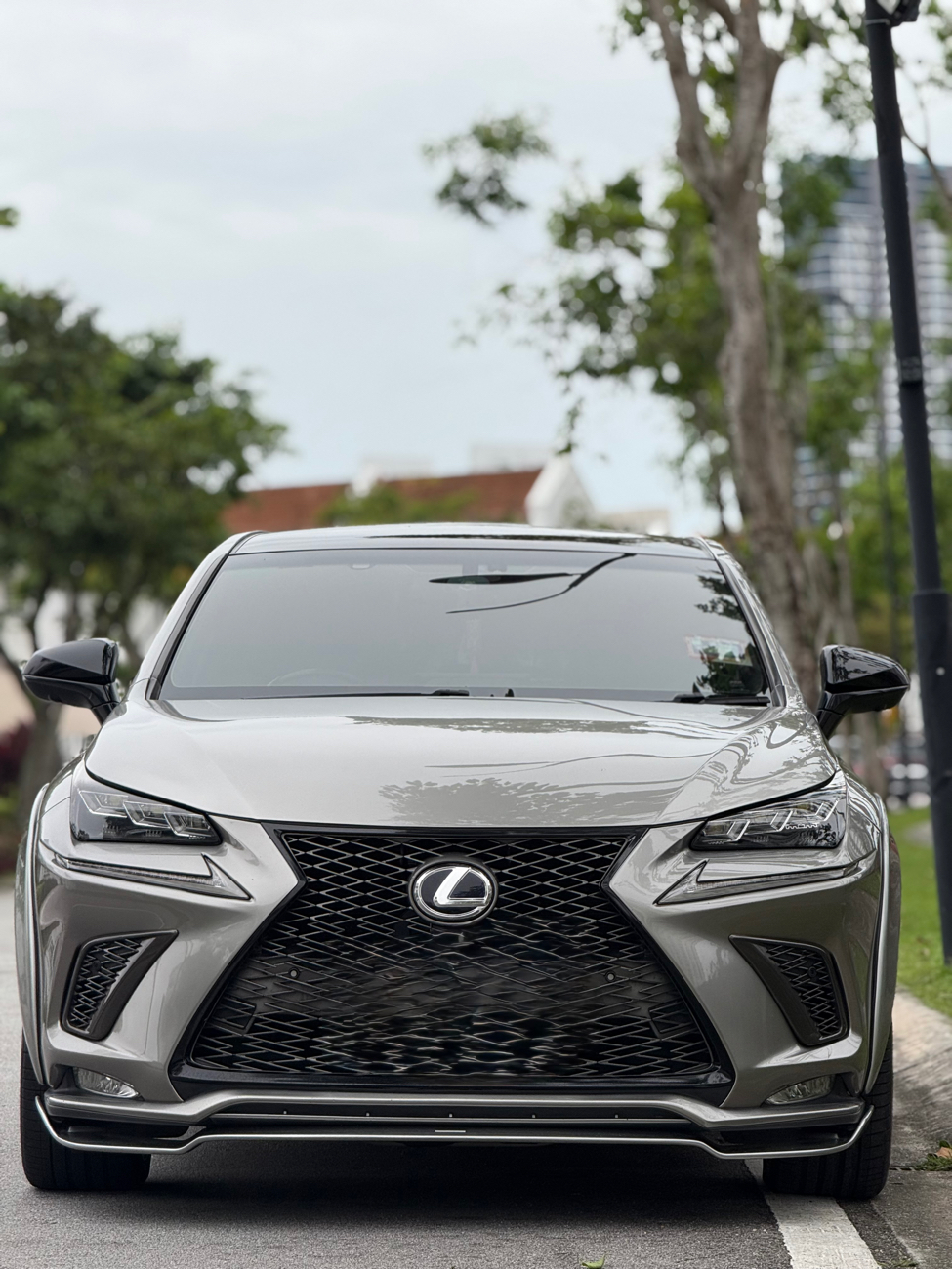 CBU Lexus NX200T Fsport Panaromic Roof for sale — photo 8