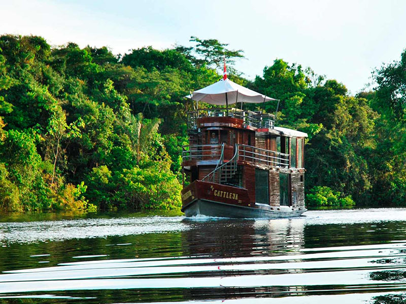 Amazon Cruise Voyagers | Ecuador