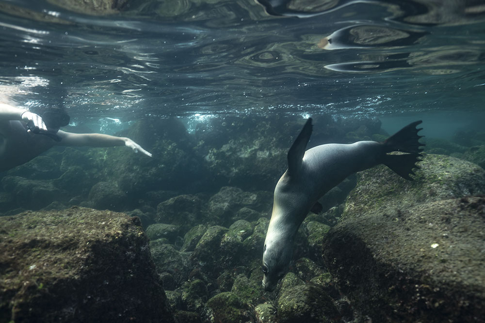 Cerro Brujo | Galapagos islands