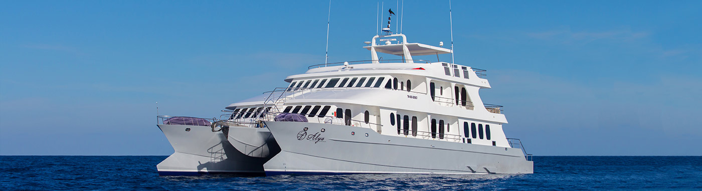 Alya Catamaran