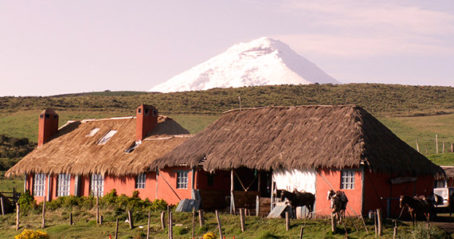 Andean Region