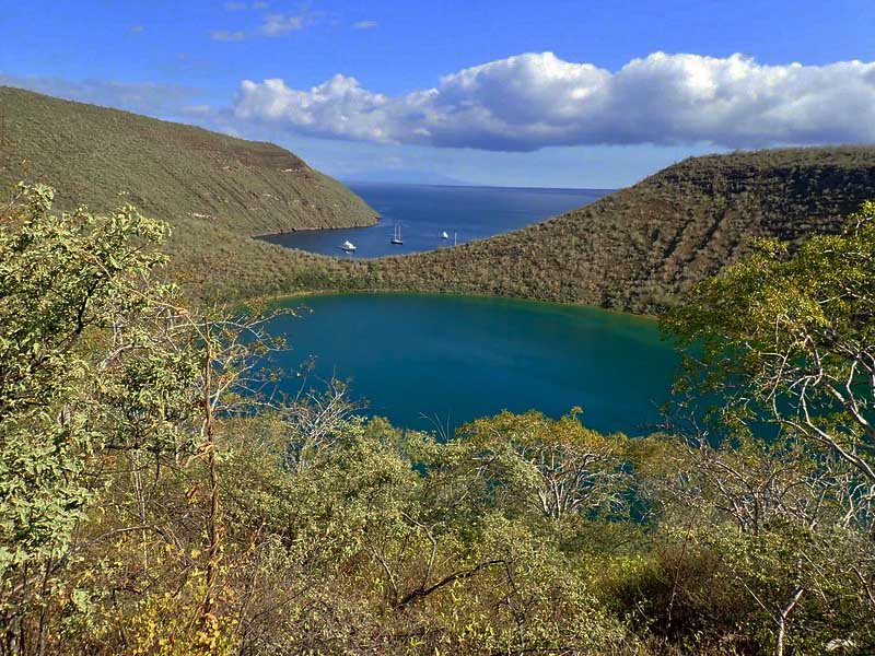 7 Reasons to Add the Galapagos to Your Winter Bucket List Voyagers Travel Specialists Tagus cove | Galapagos