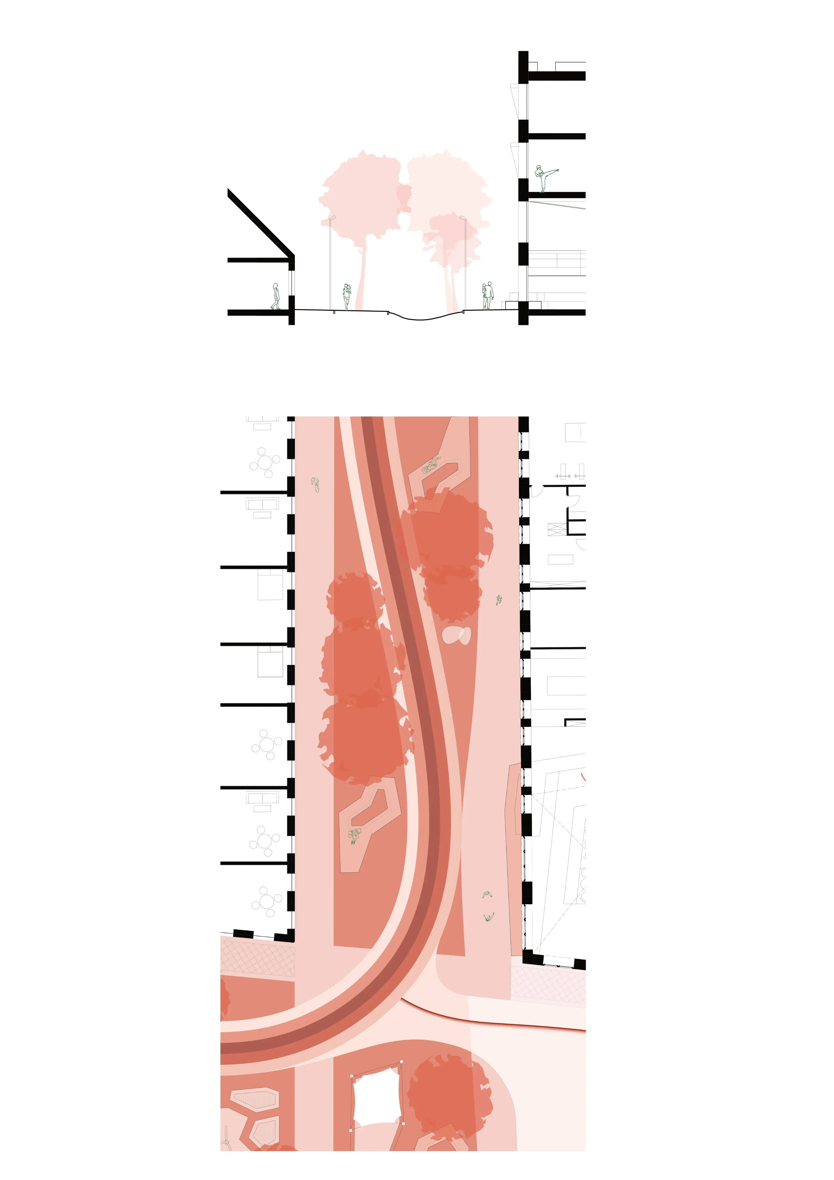 Schnitt und Grundriss eines rein landschaftlichen Straßenabschnitts mit rotem Pfad und dichtem Baumbestand.