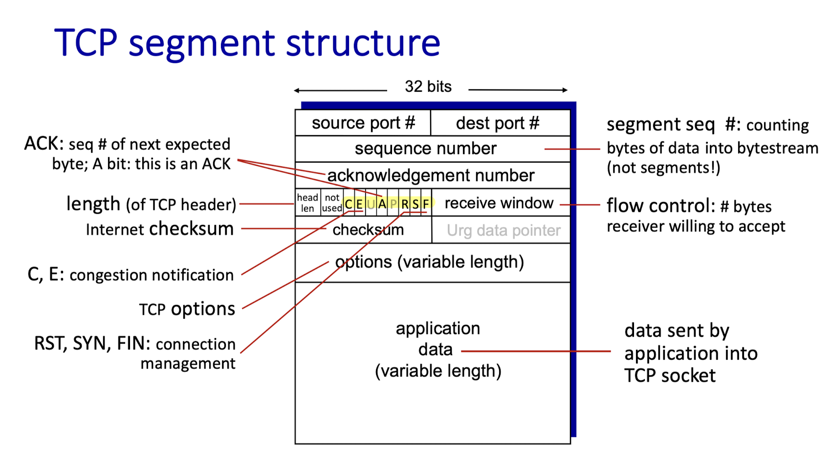 TCP segment structure