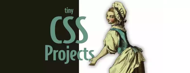 A woman pointing to the book title tiny CSS Projects