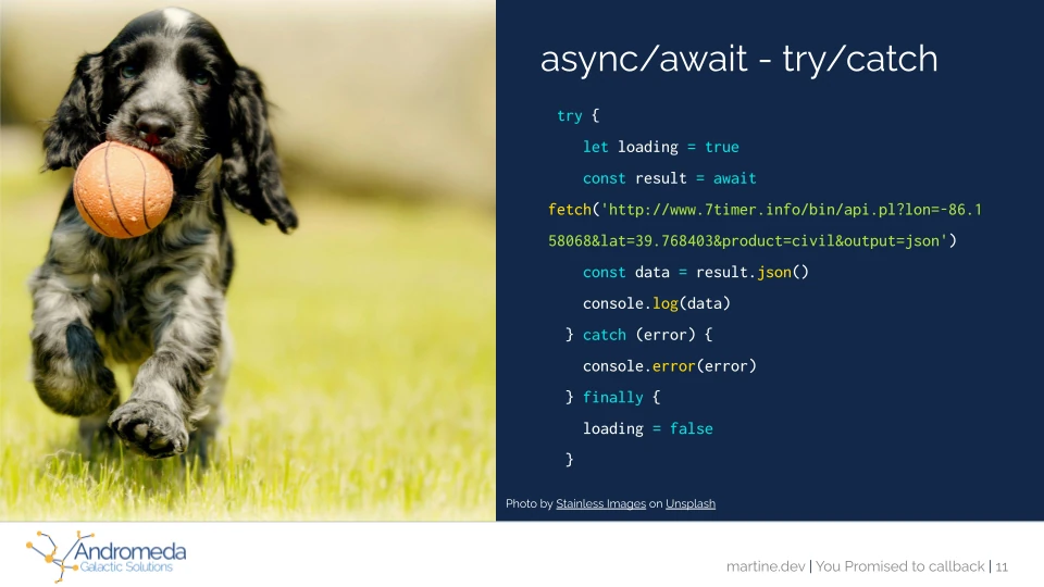 async/await -try/catch example using fetch beside a puppy running with a ball